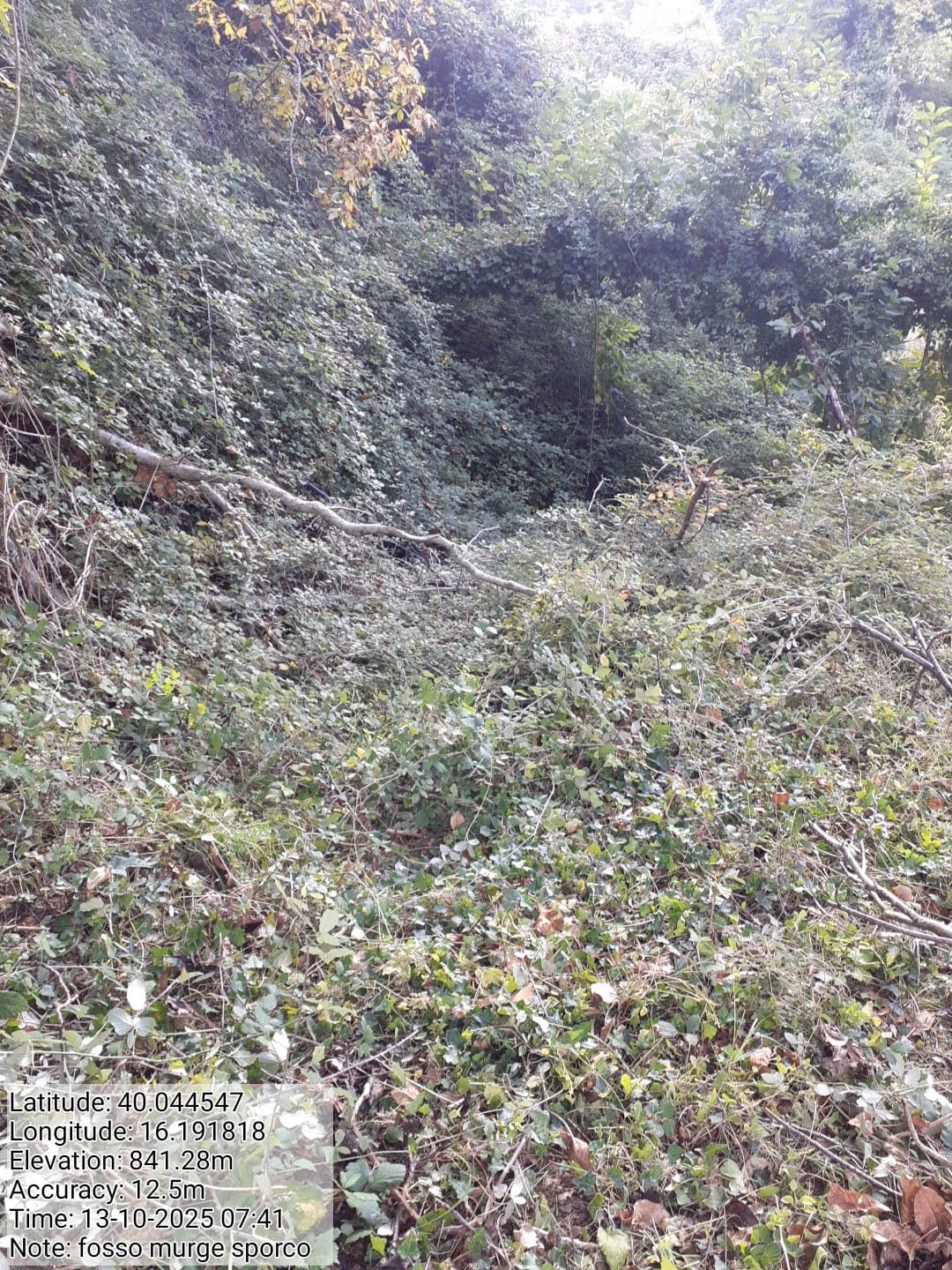 Galleria Fotografica Immagine