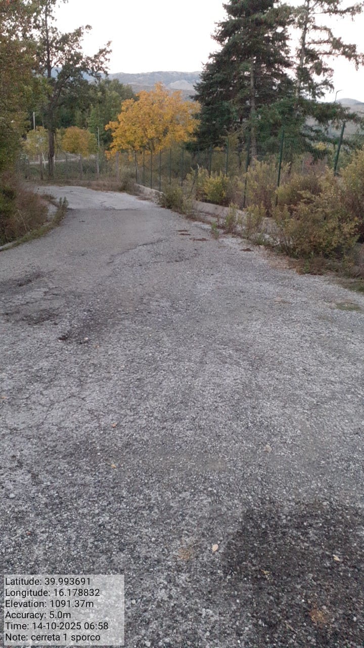 Galleria Fotografica Immagine