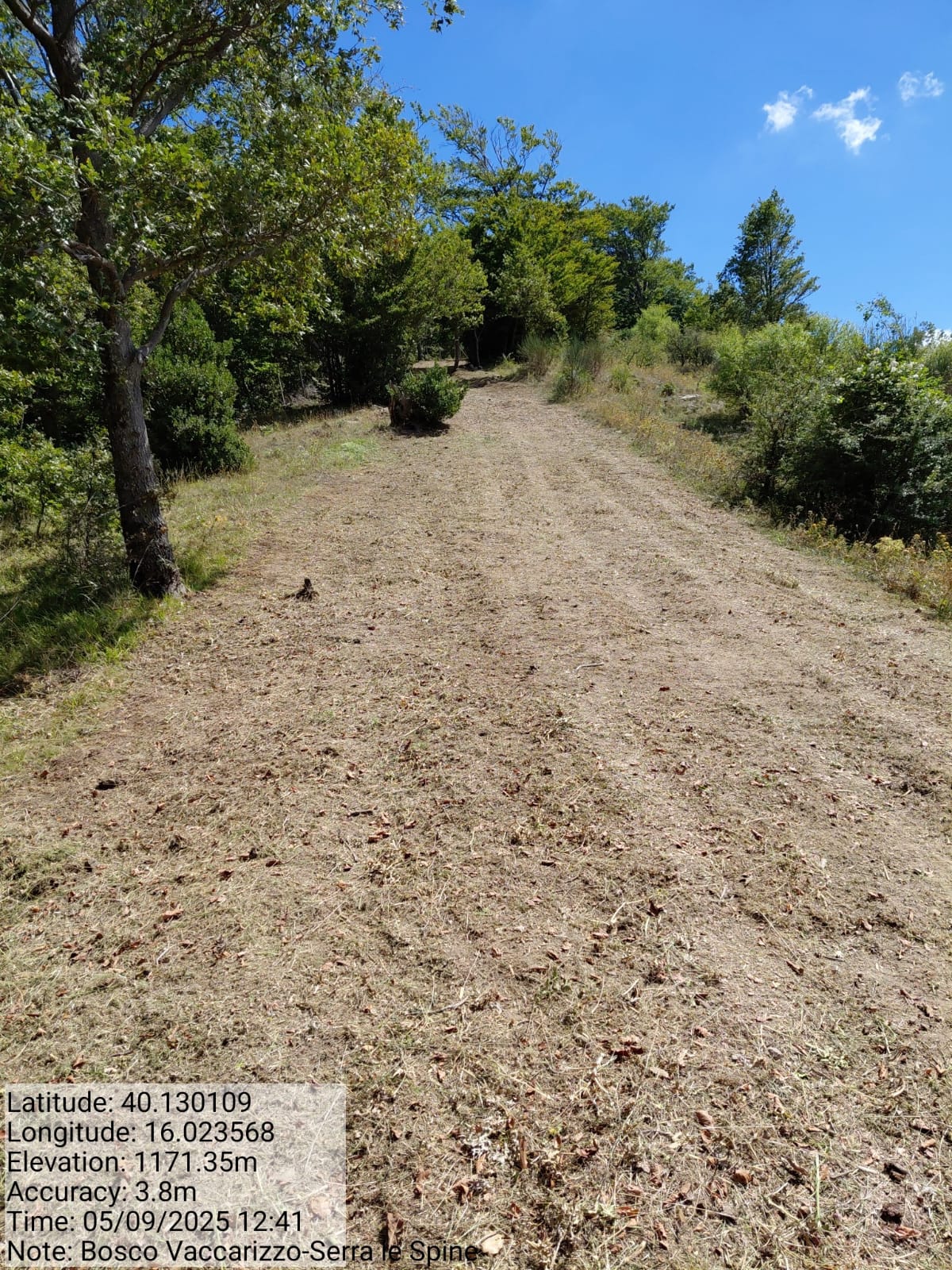 Galleria Fotografica Immagine