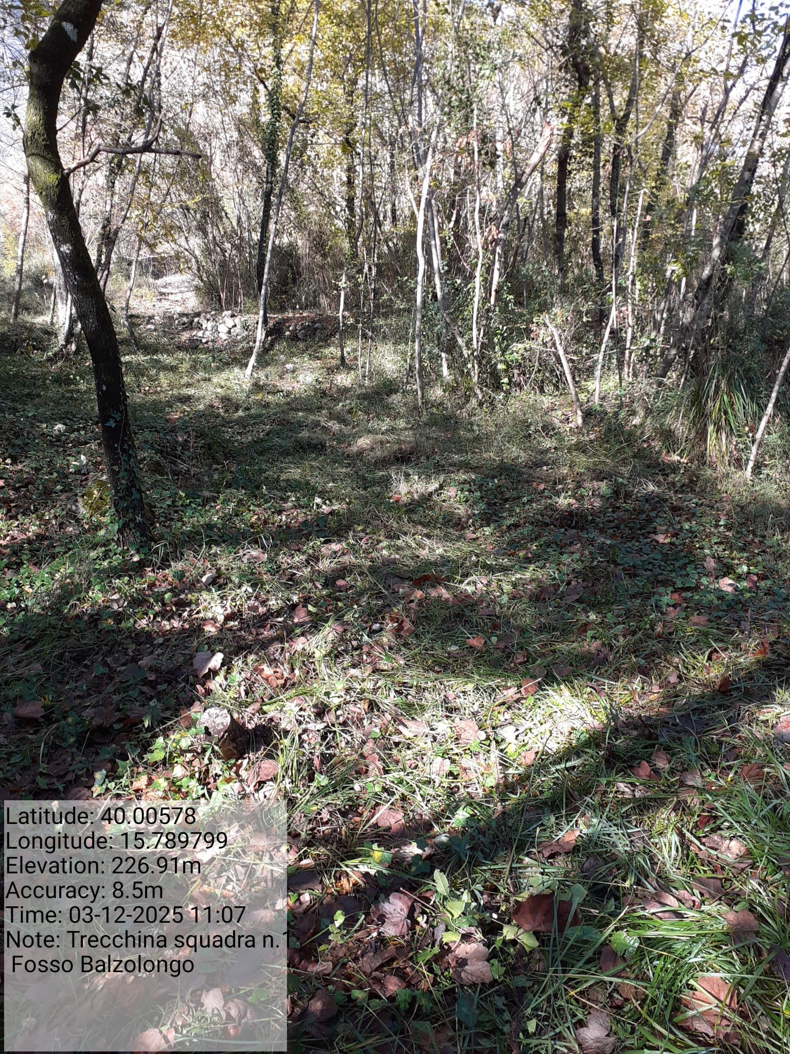 Galleria Fotografica Immagine