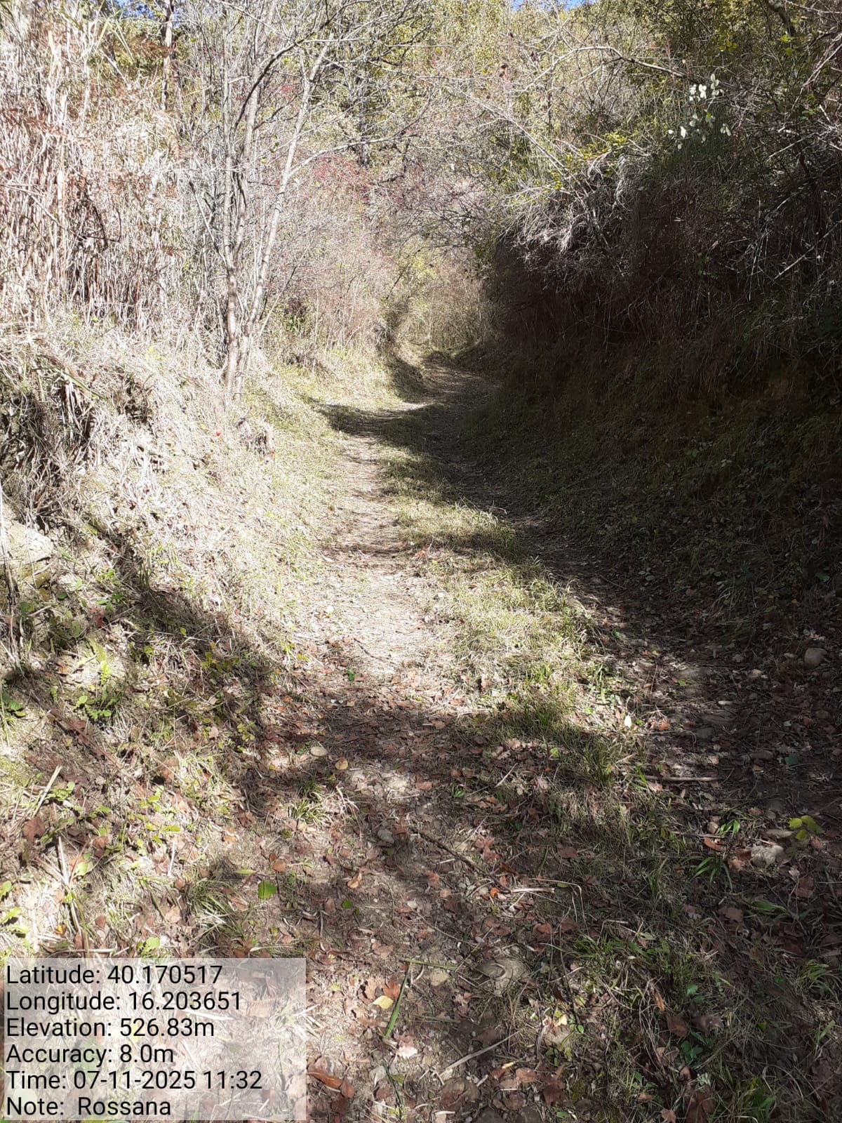 Galleria Fotografica Immagine