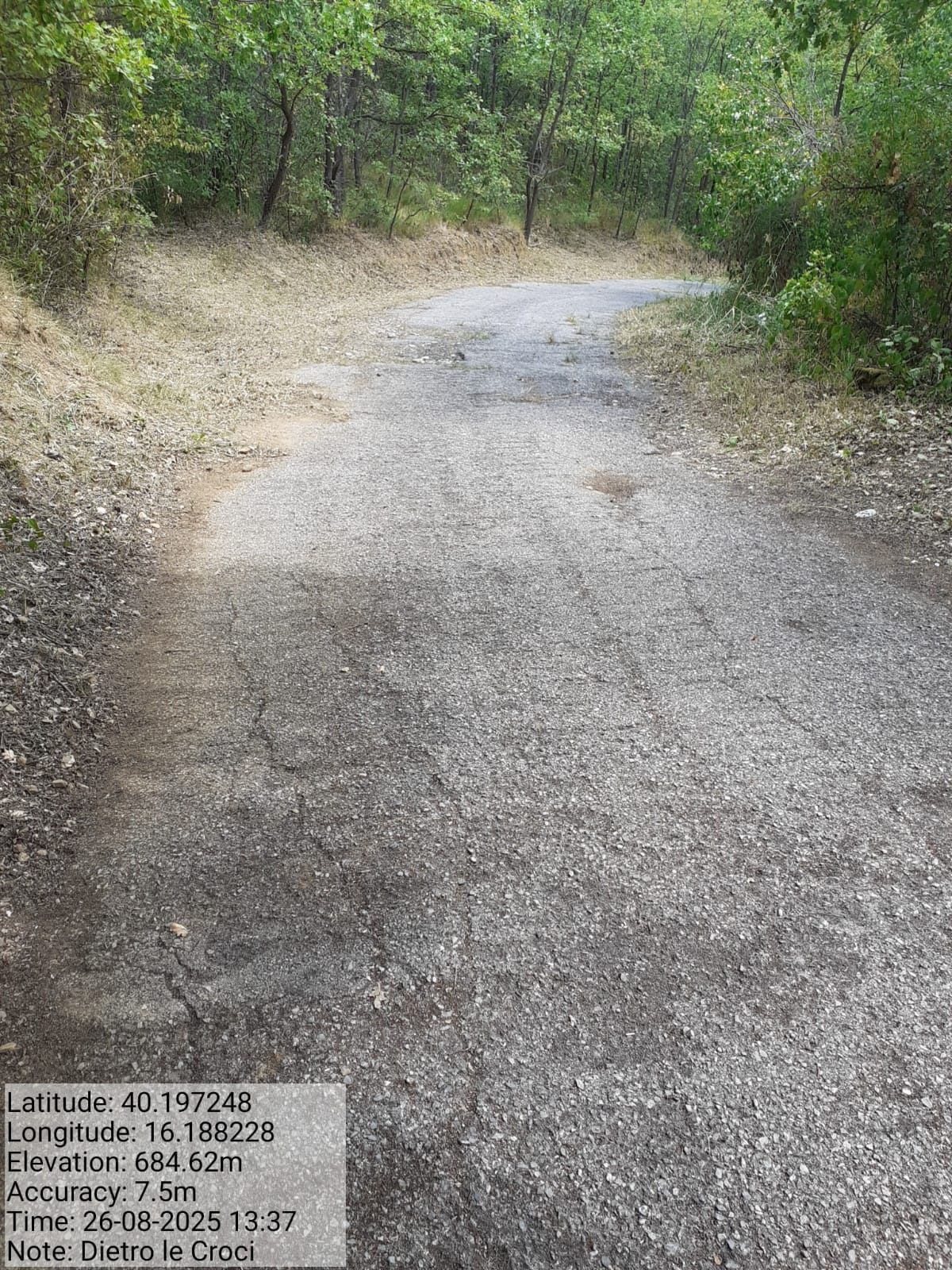 Galleria Fotografica Immagine