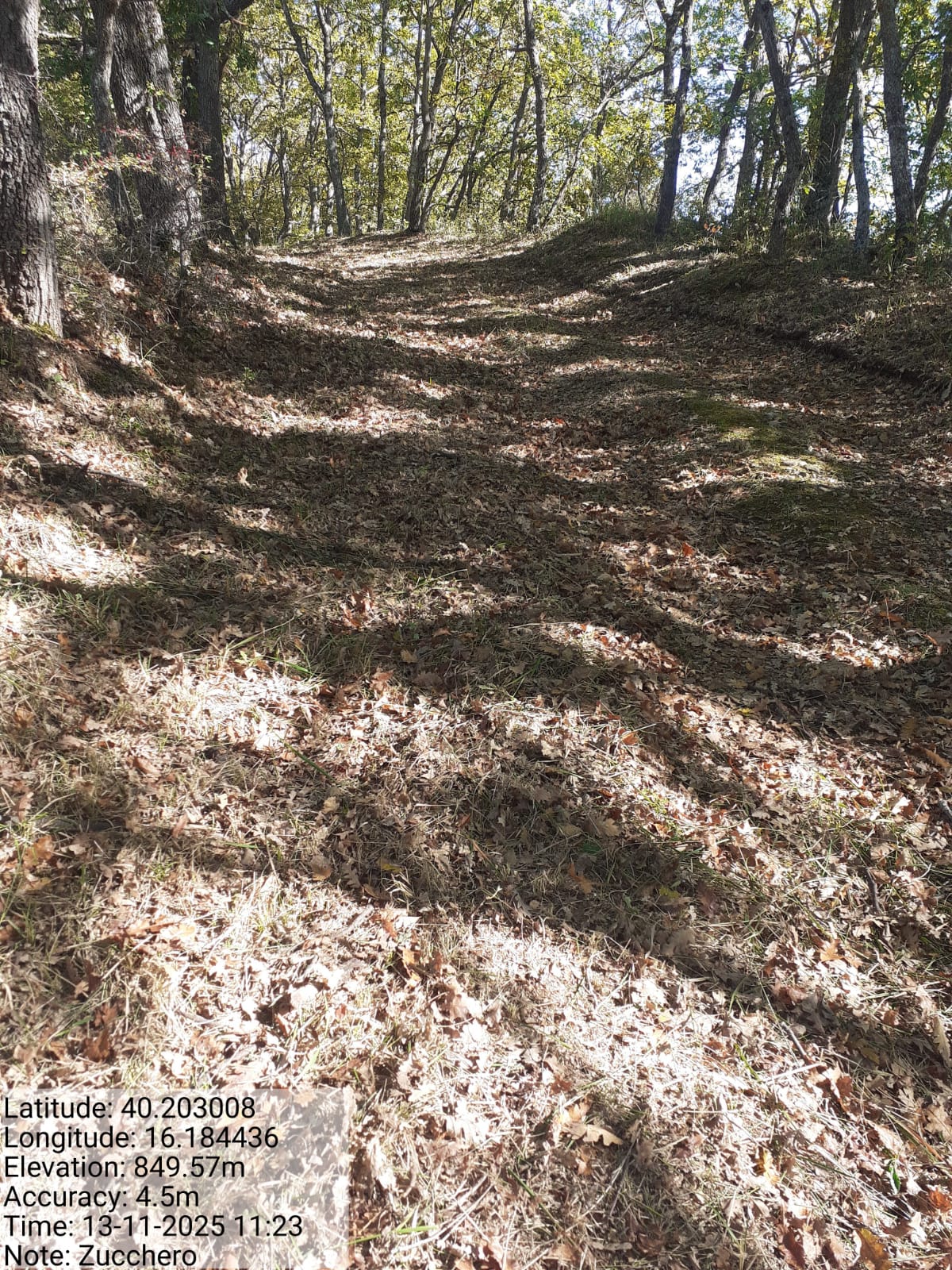 Galleria Fotografica Immagine