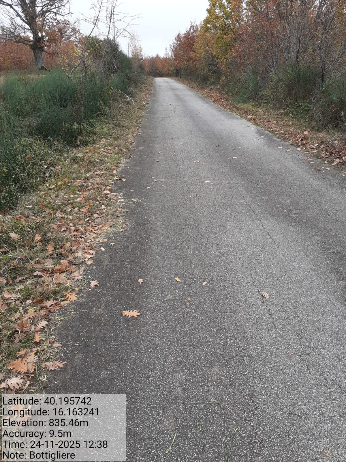 Galleria Fotografica Immagine