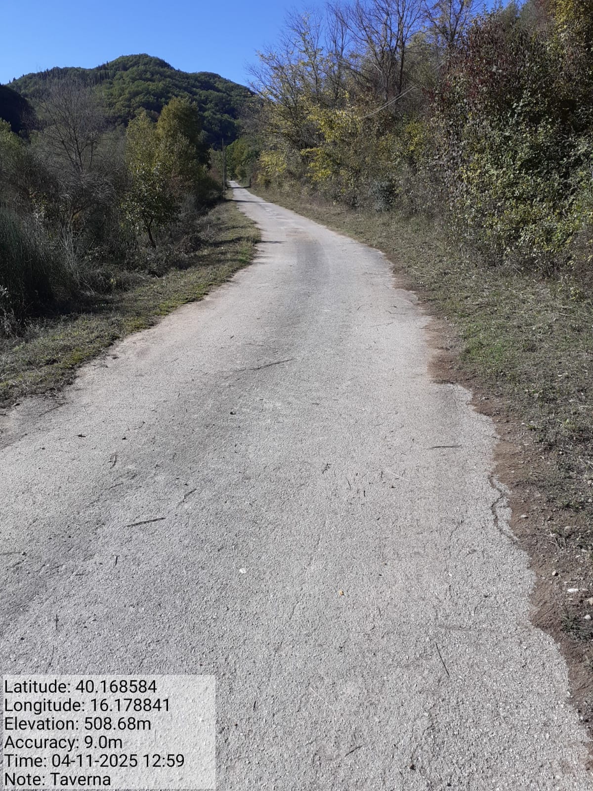 Galleria Fotografica Immagine