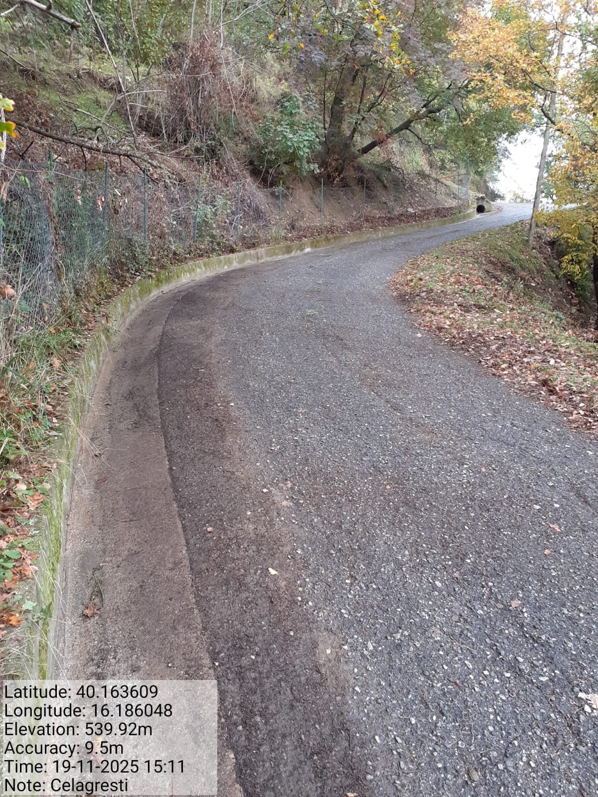 Galleria Fotografica Immagine