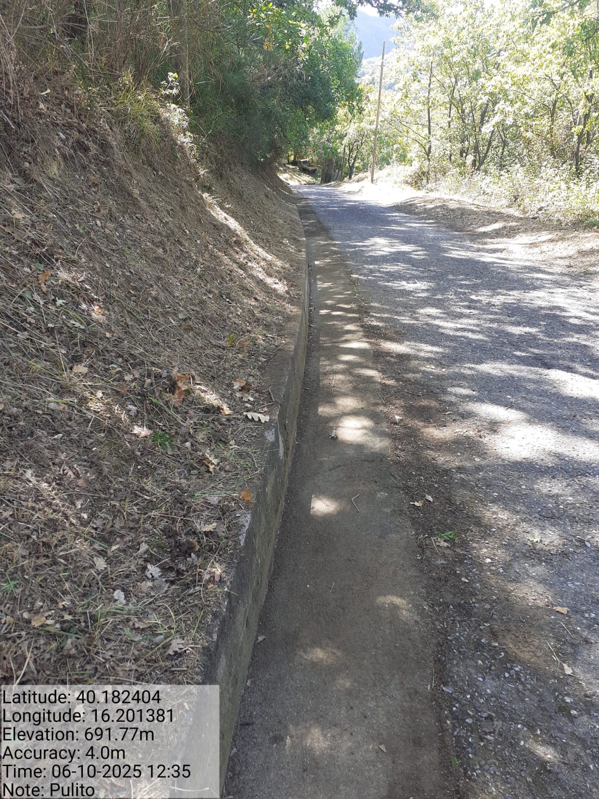 Galleria Fotografica Immagine