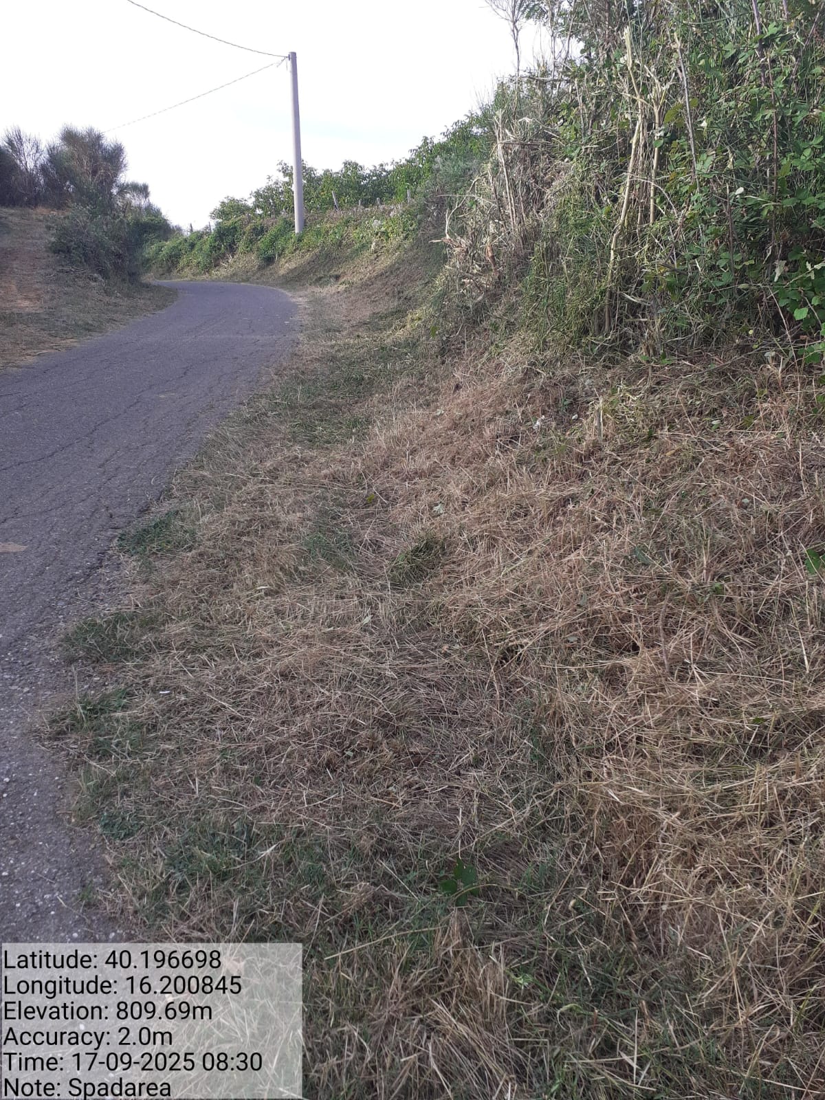 Galleria Fotografica Immagine