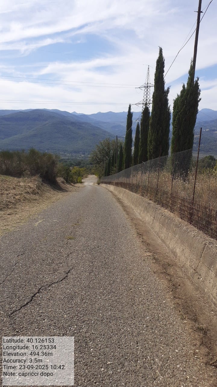 Galleria Fotografica Immagine