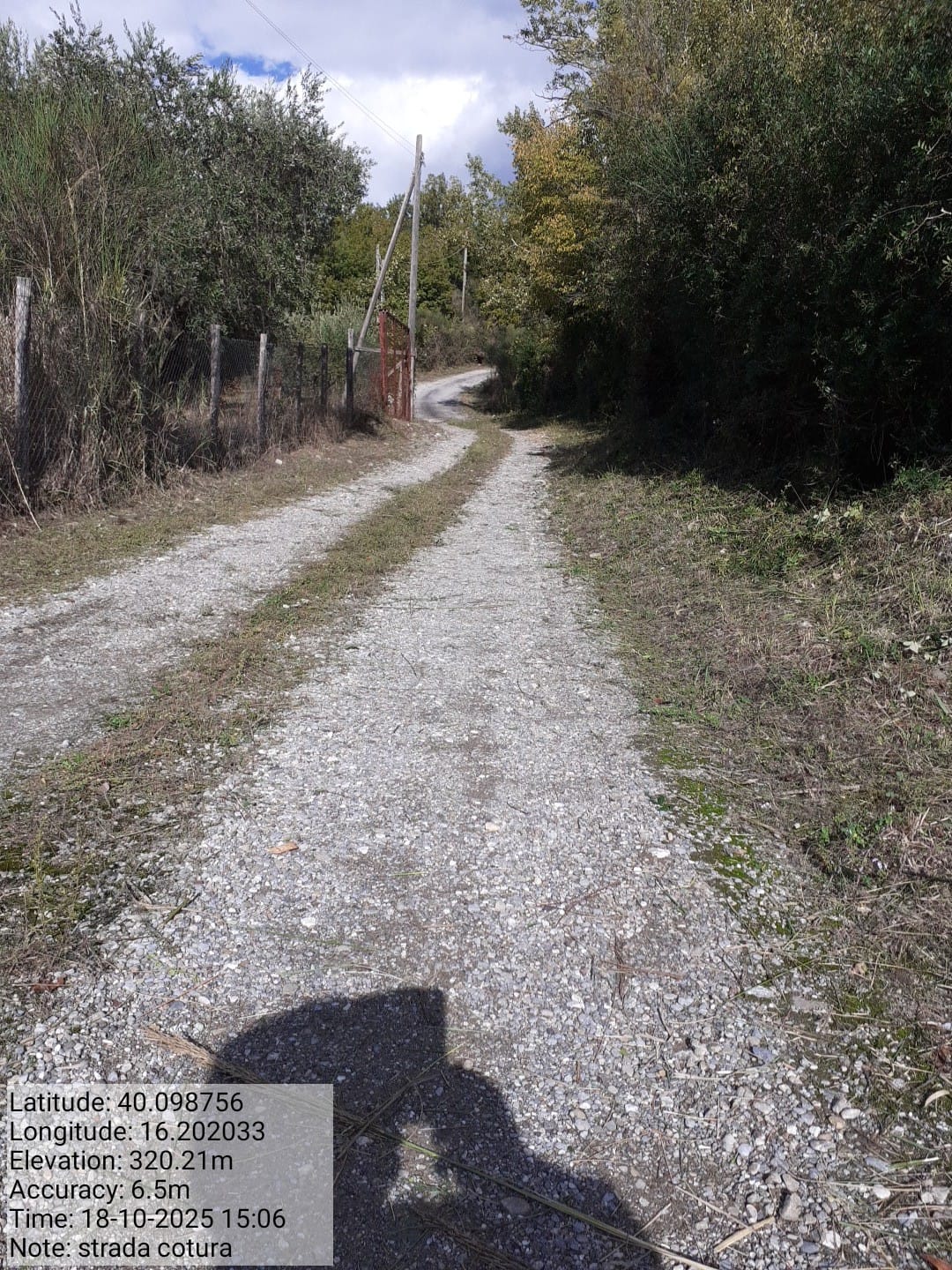 Galleria Fotografica Immagine