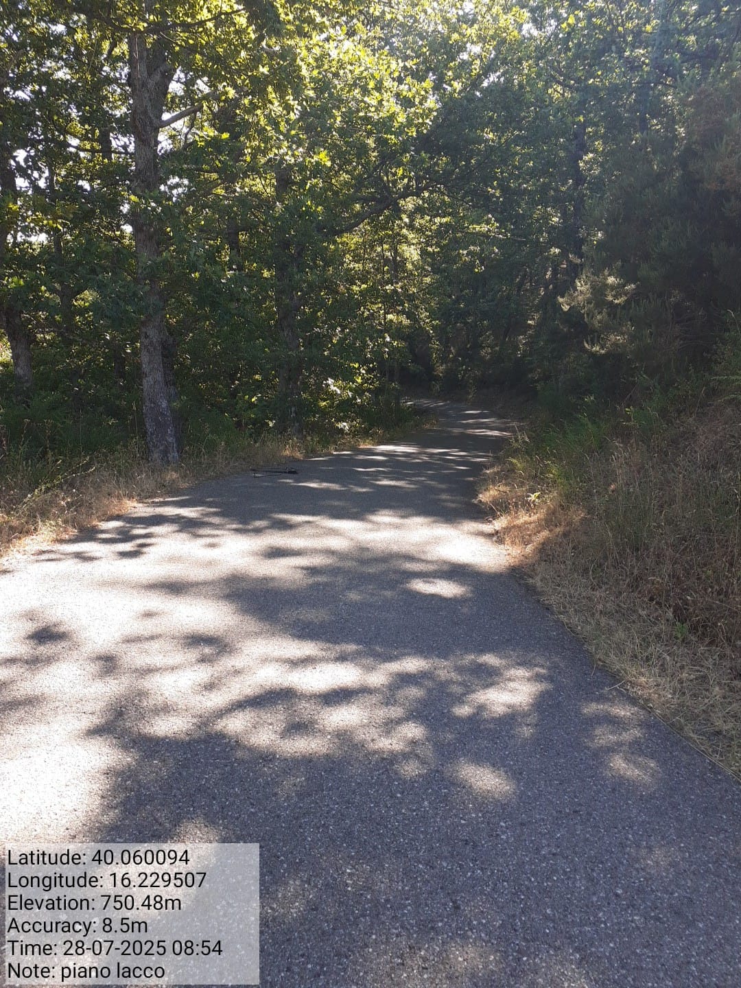 Galleria Fotografica Immagine