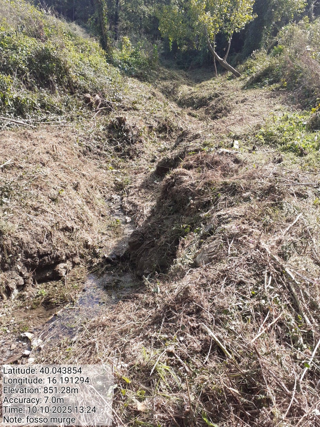 Galleria Fotografica Immagine