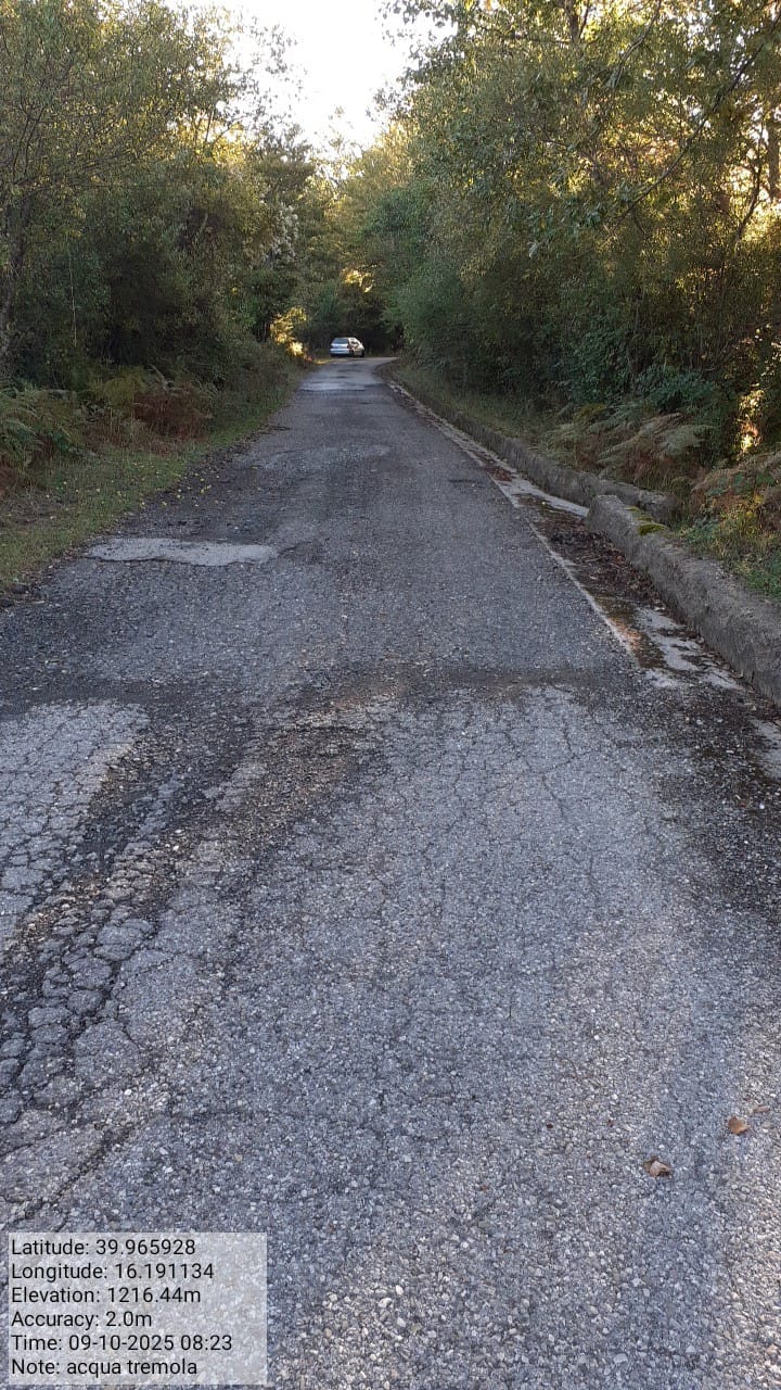 Galleria Fotografica Immagine