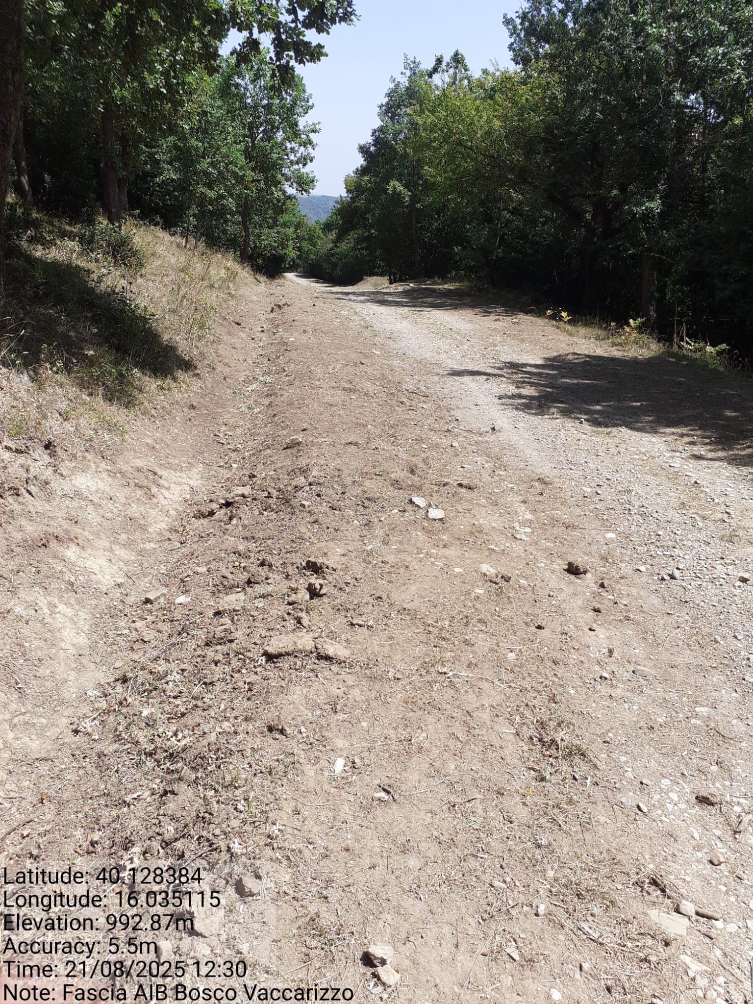 Galleria Fotografica Immagine