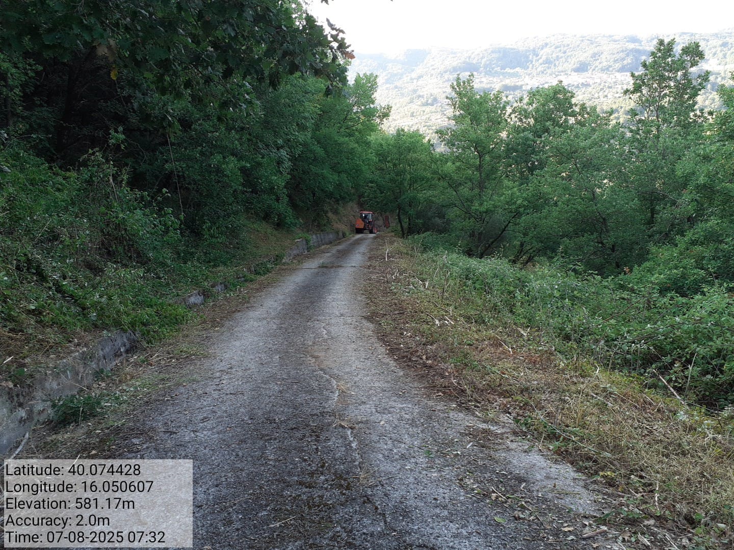 Galleria Fotografica Immagine