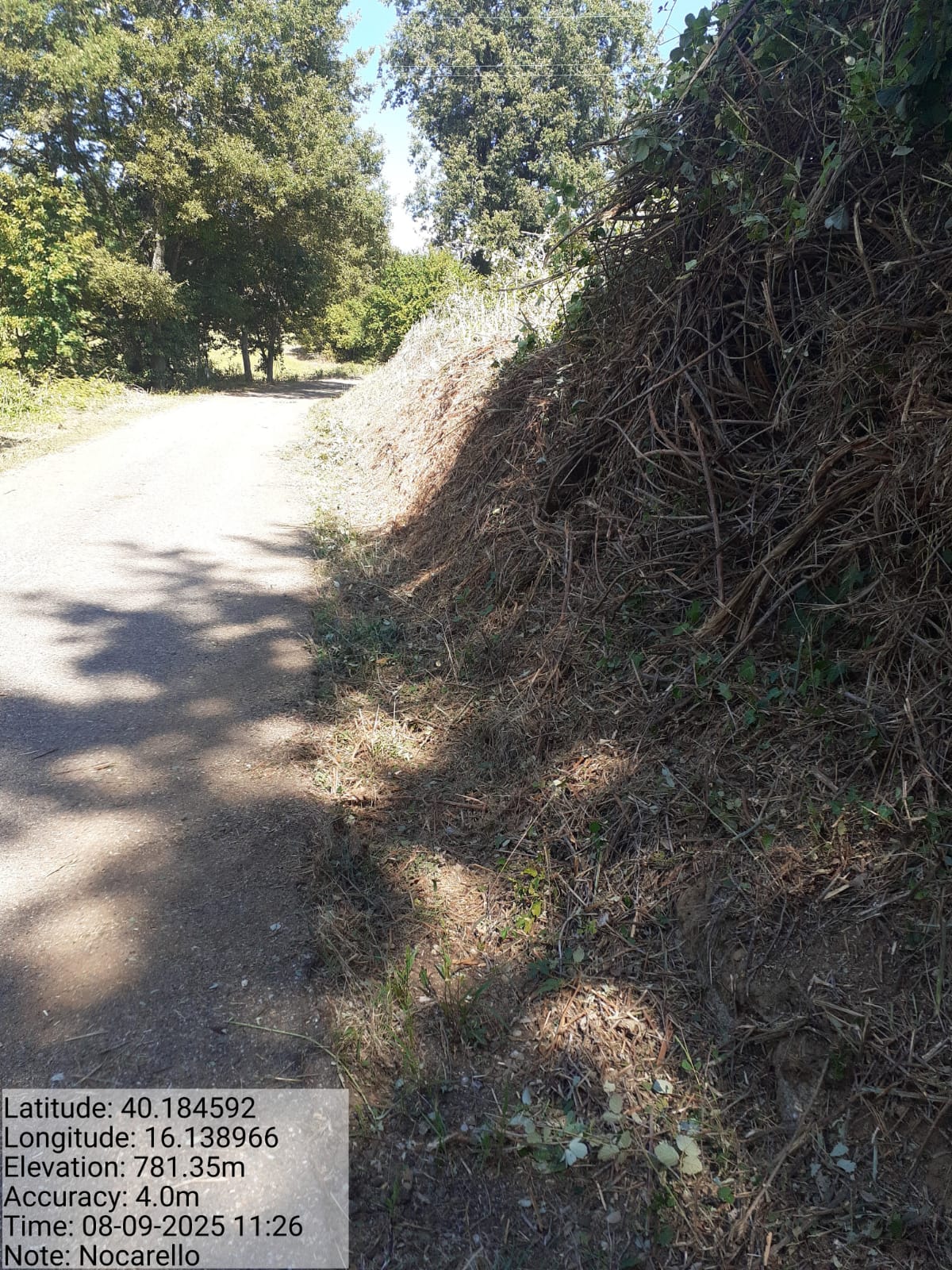 Galleria Fotografica Immagine