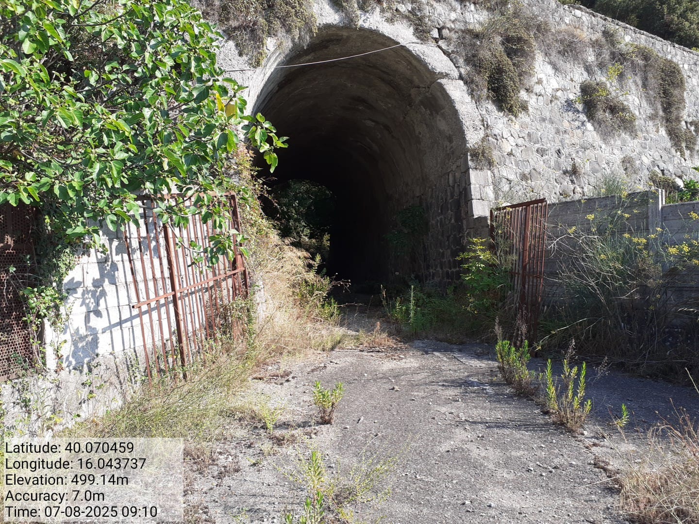 Galleria Fotografica Immagine