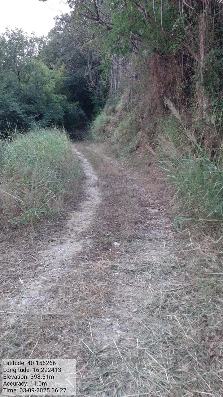 Galleria Fotografica Immagine