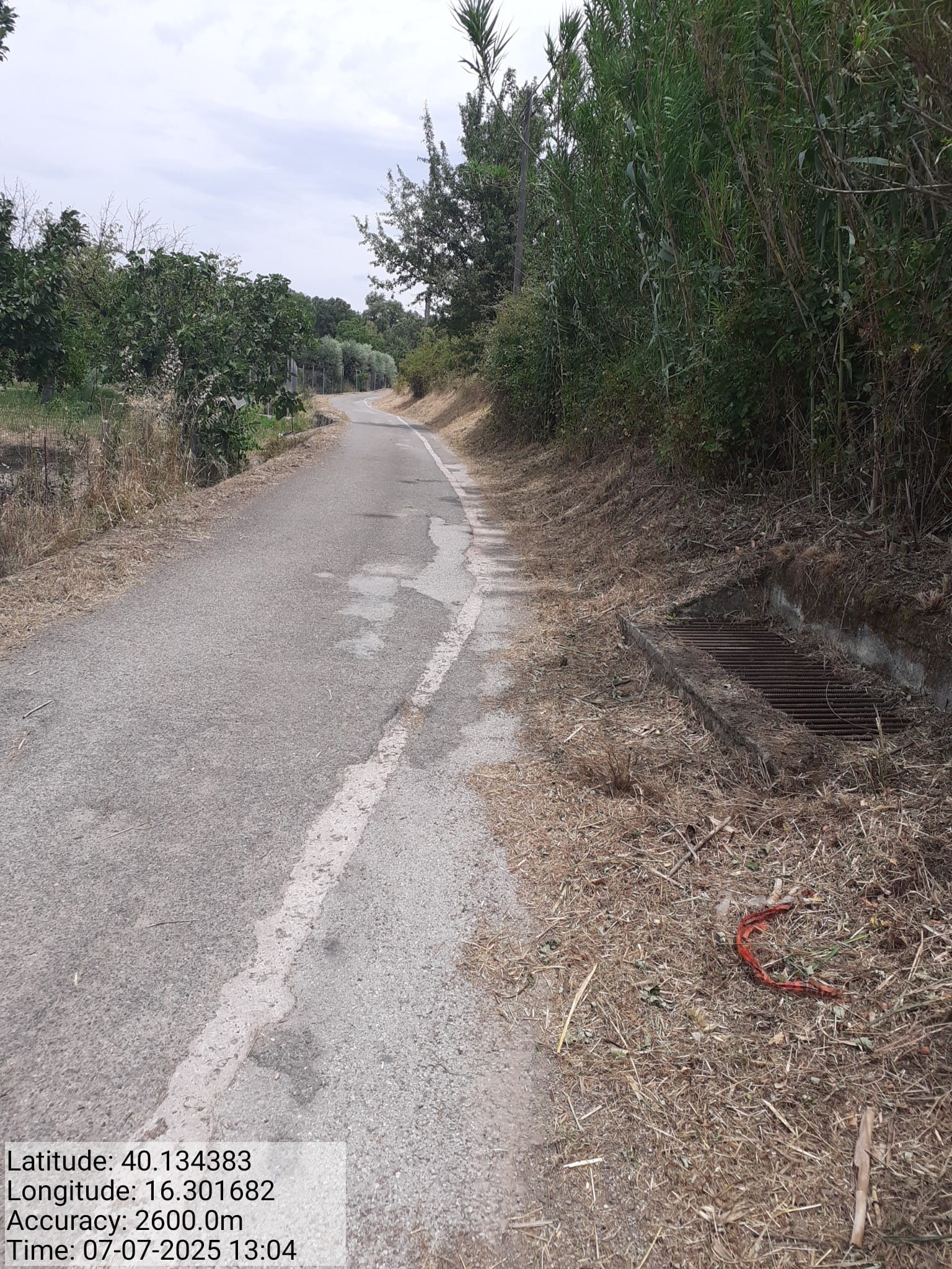 Galleria Fotografica Immagine