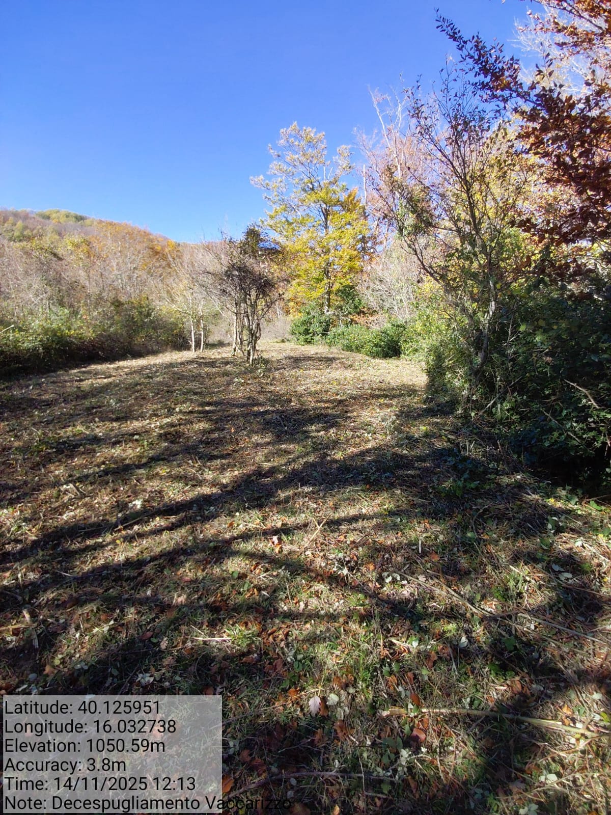 Galleria Fotografica Immagine