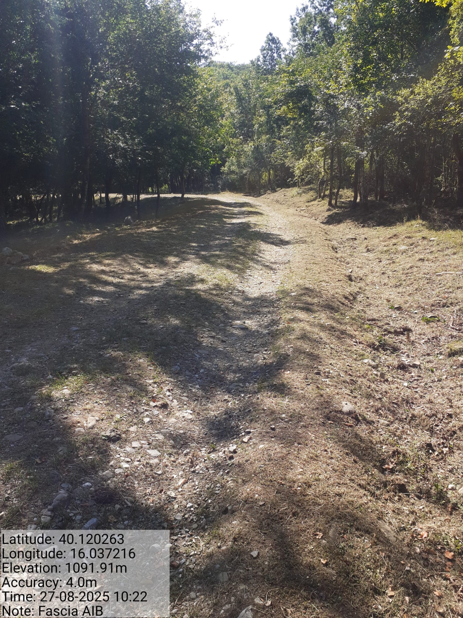 Galleria Fotografica Immagine