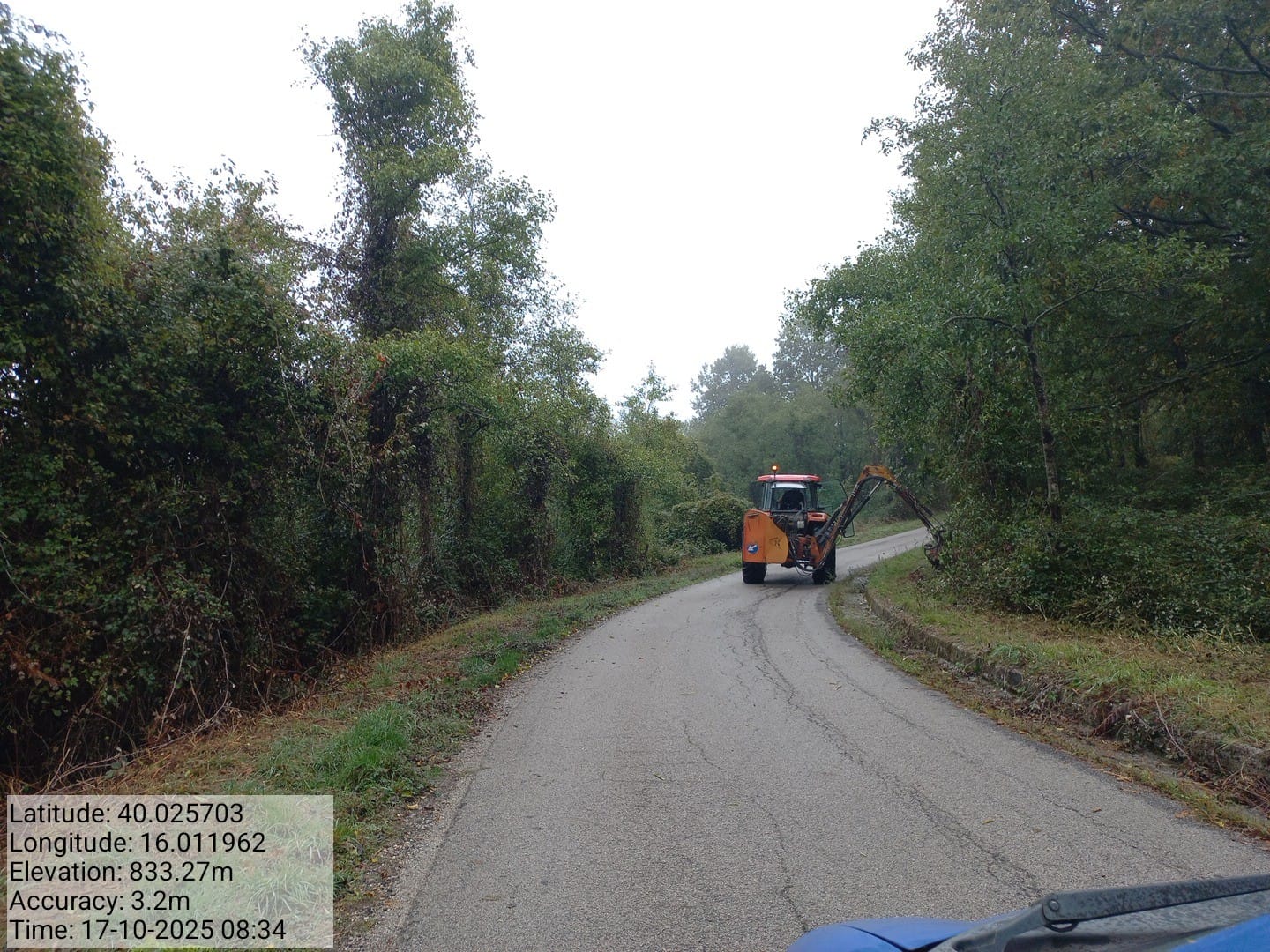 Galleria Fotografica Immagine