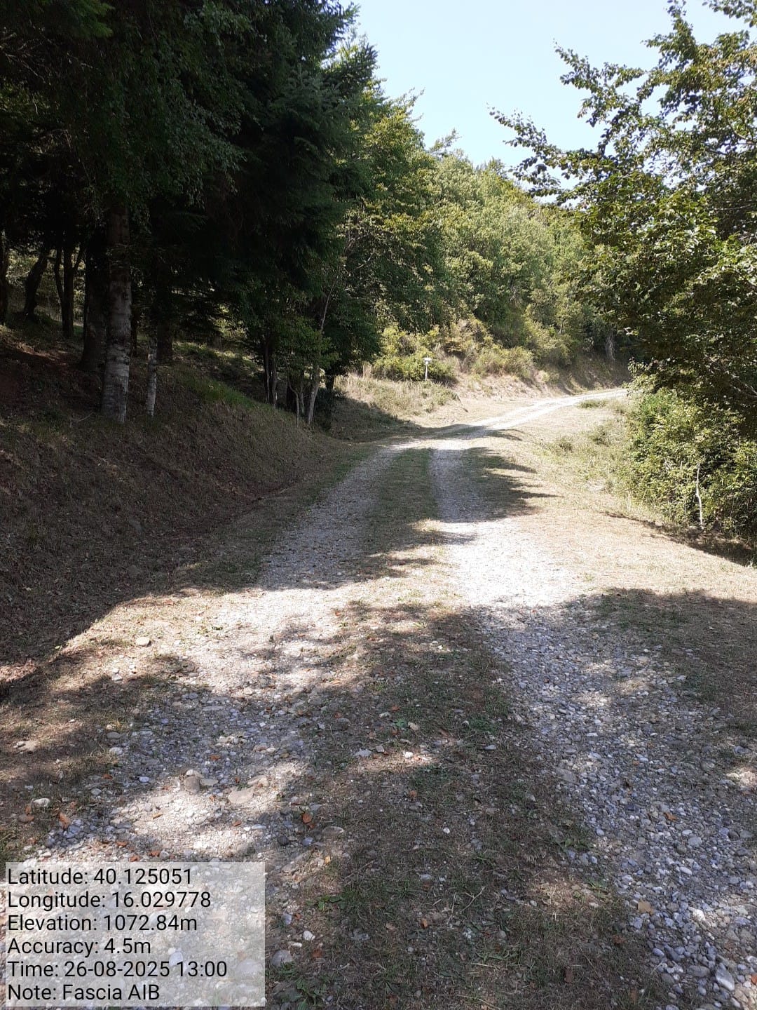 Galleria Fotografica Immagine