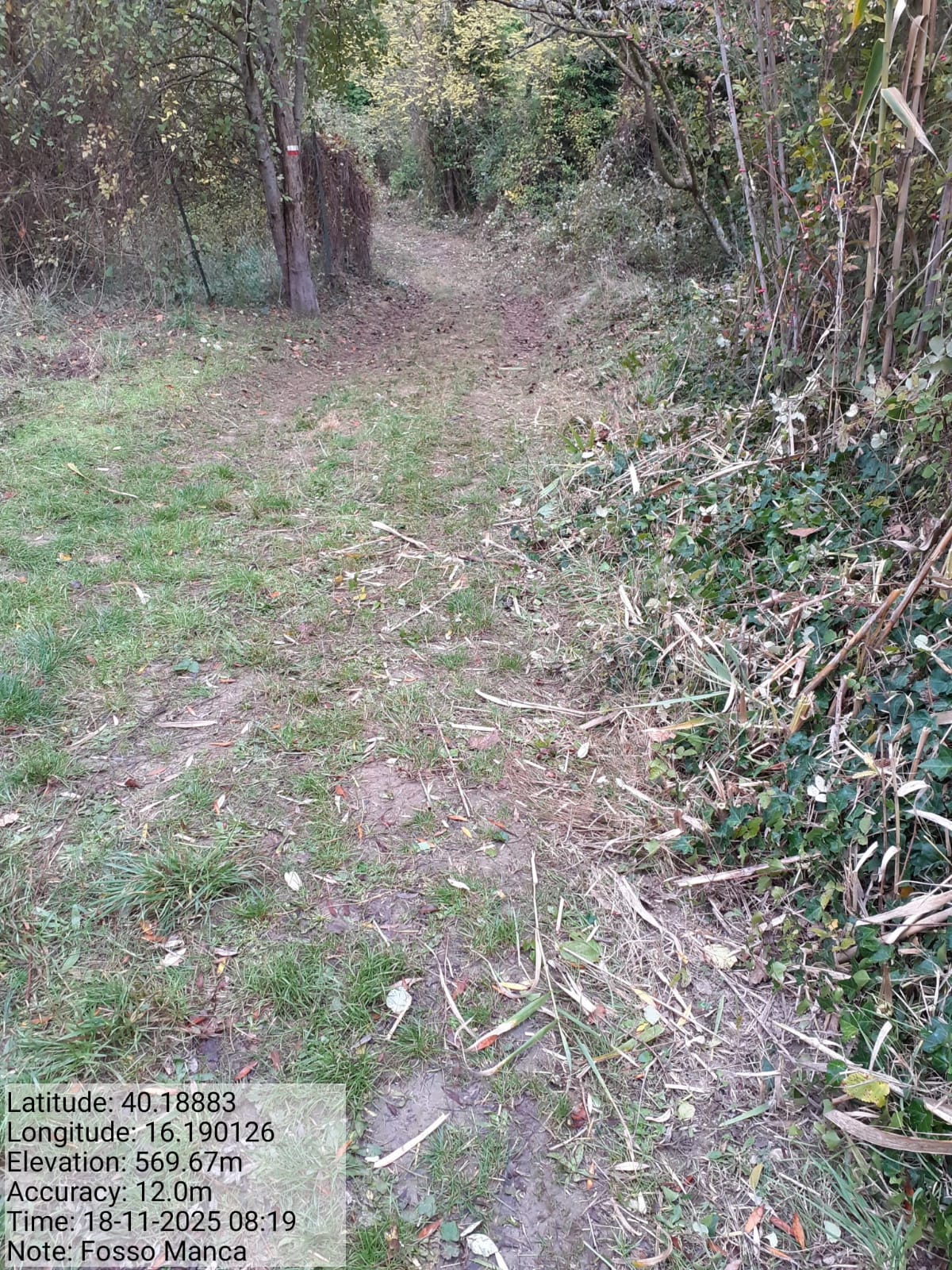 Galleria Fotografica Immagine