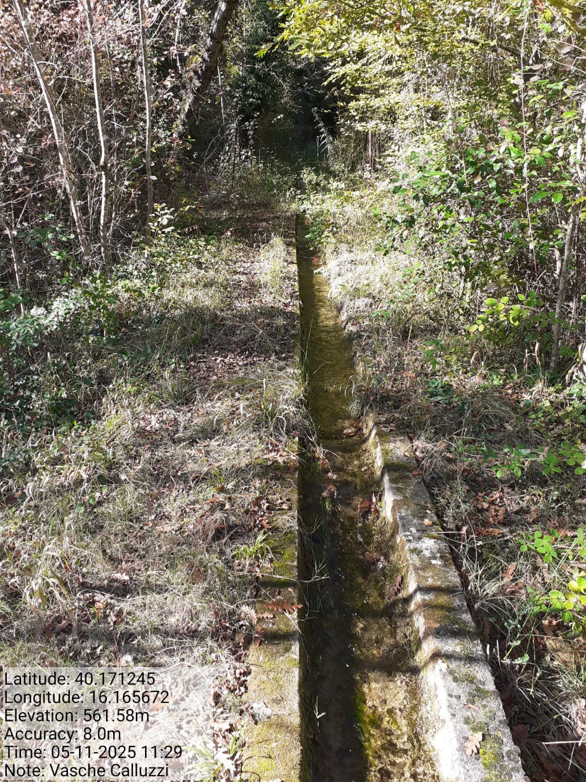 Galleria Fotografica Immagine