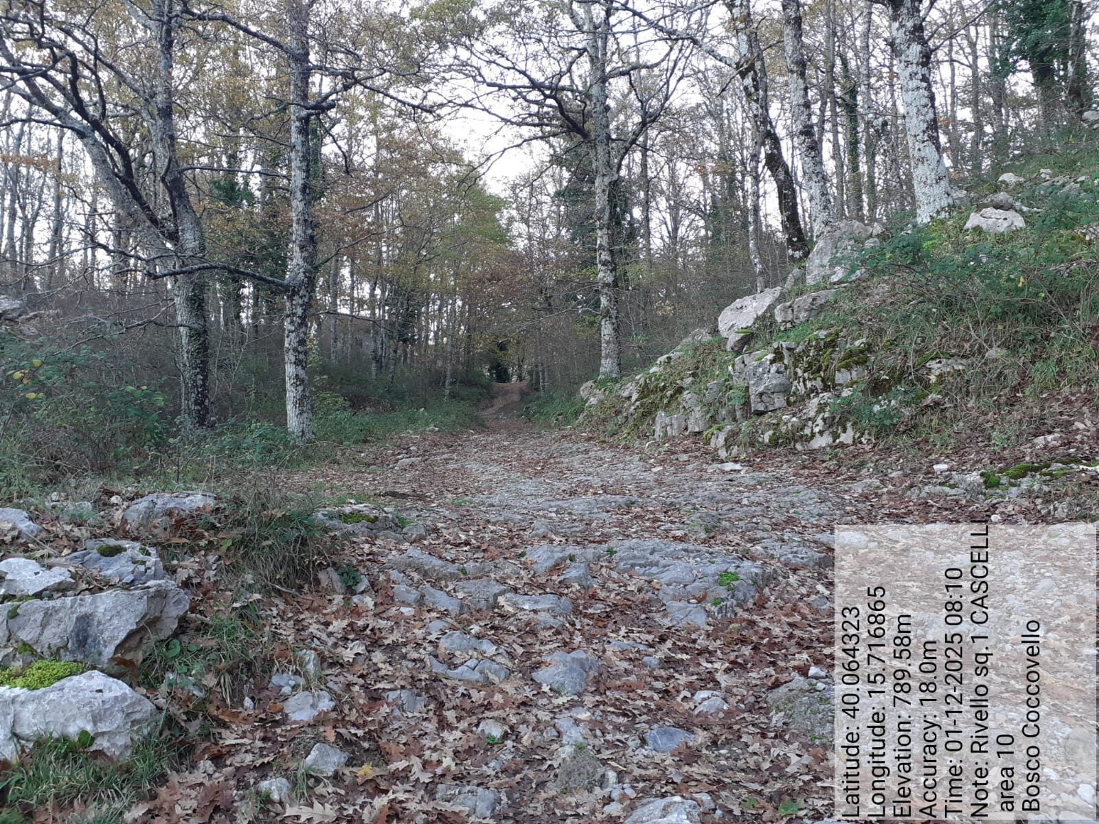 Galleria Fotografica Immagine