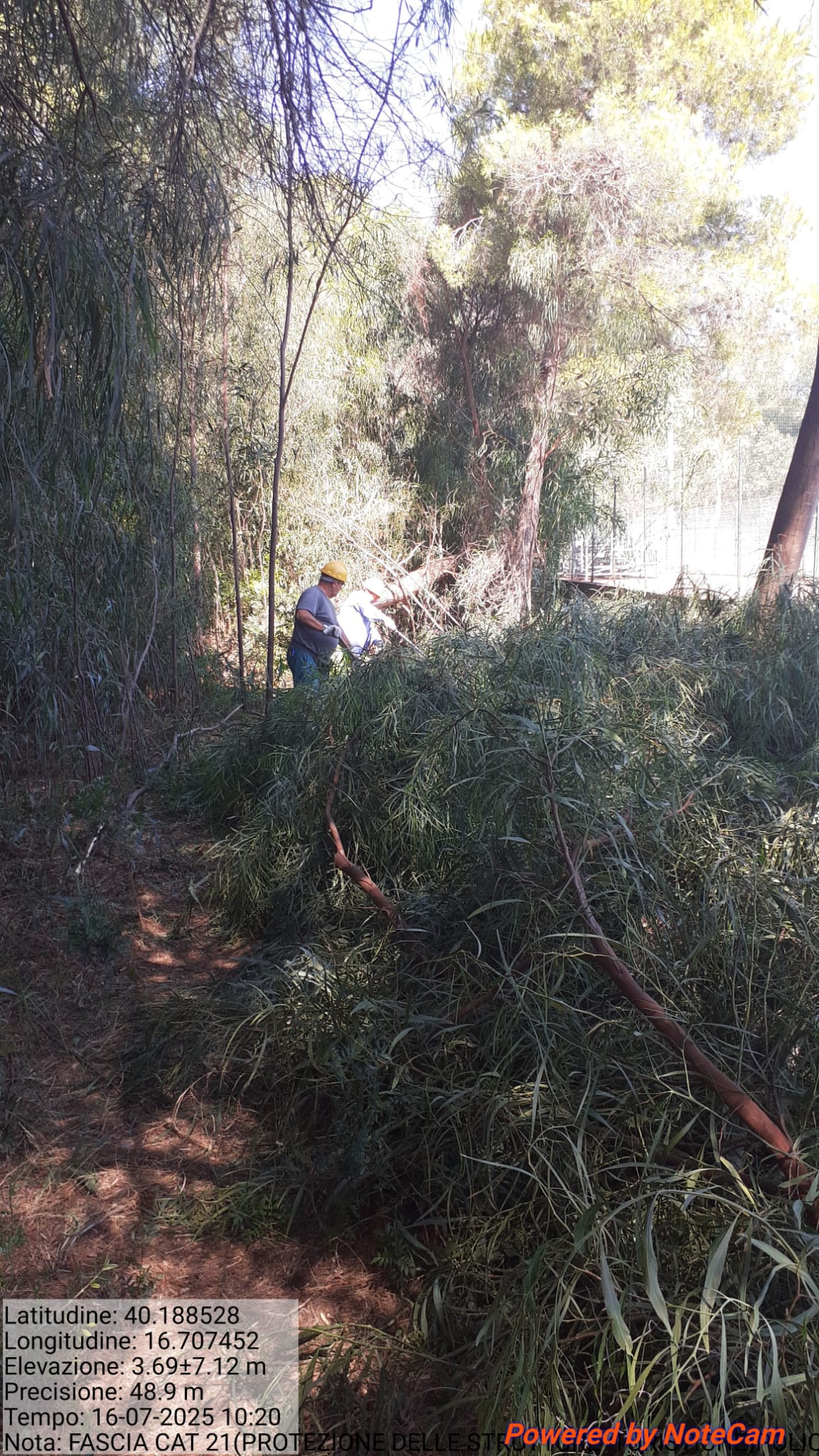 Galleria Fotografica Immagine