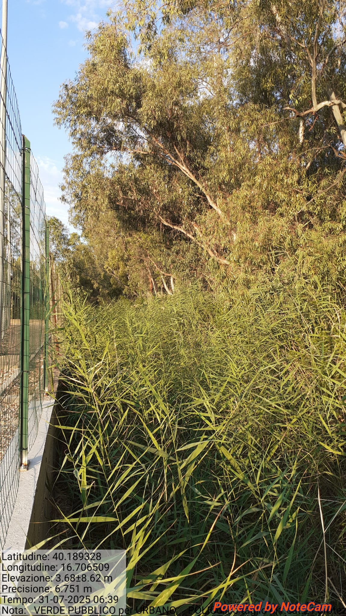 Galleria Fotografica Immagine