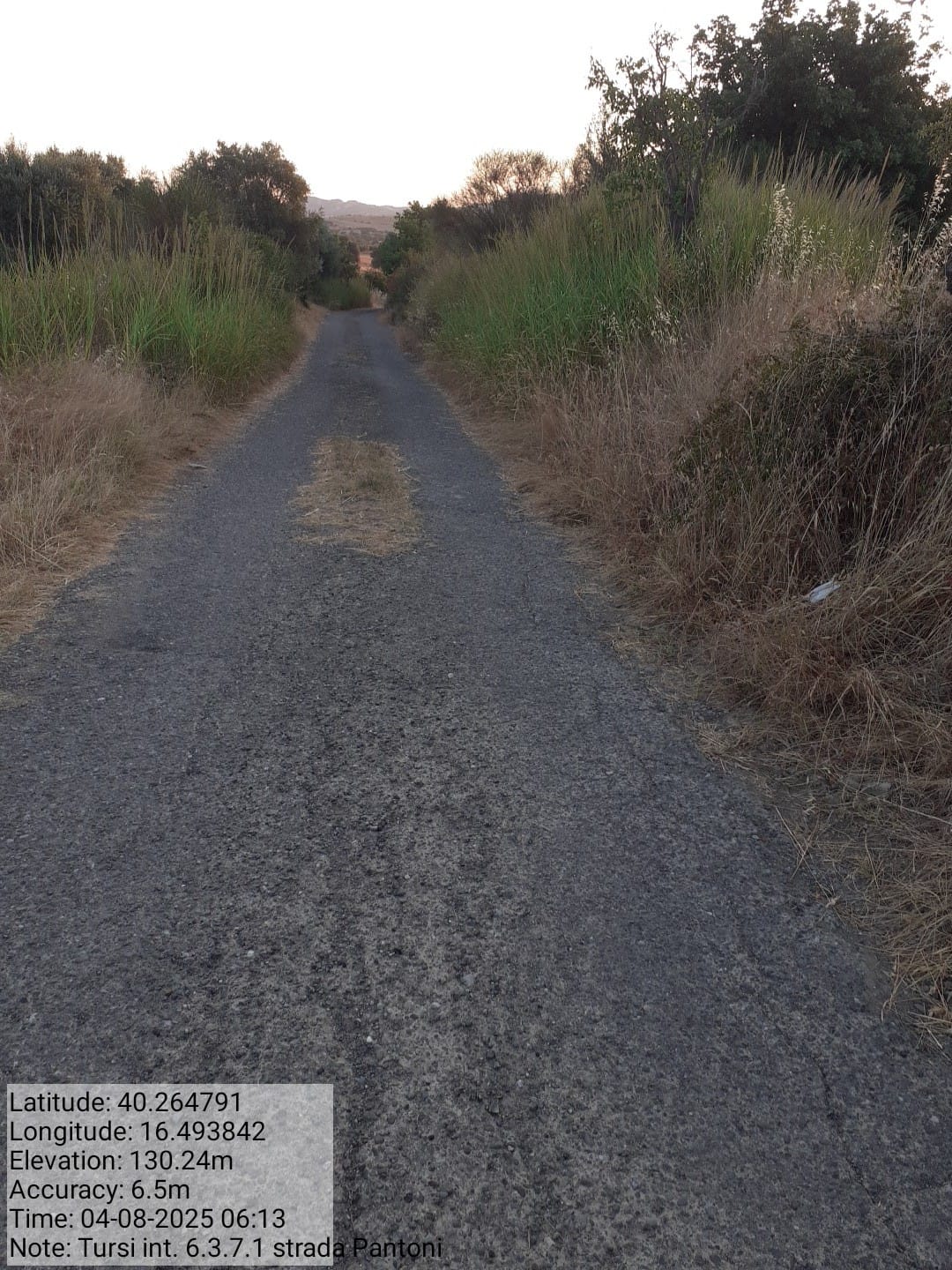 Galleria Fotografica Immagine