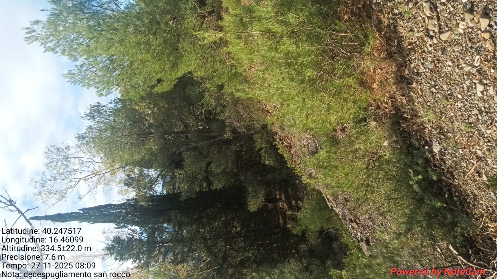 Galleria Fotografica Immagine