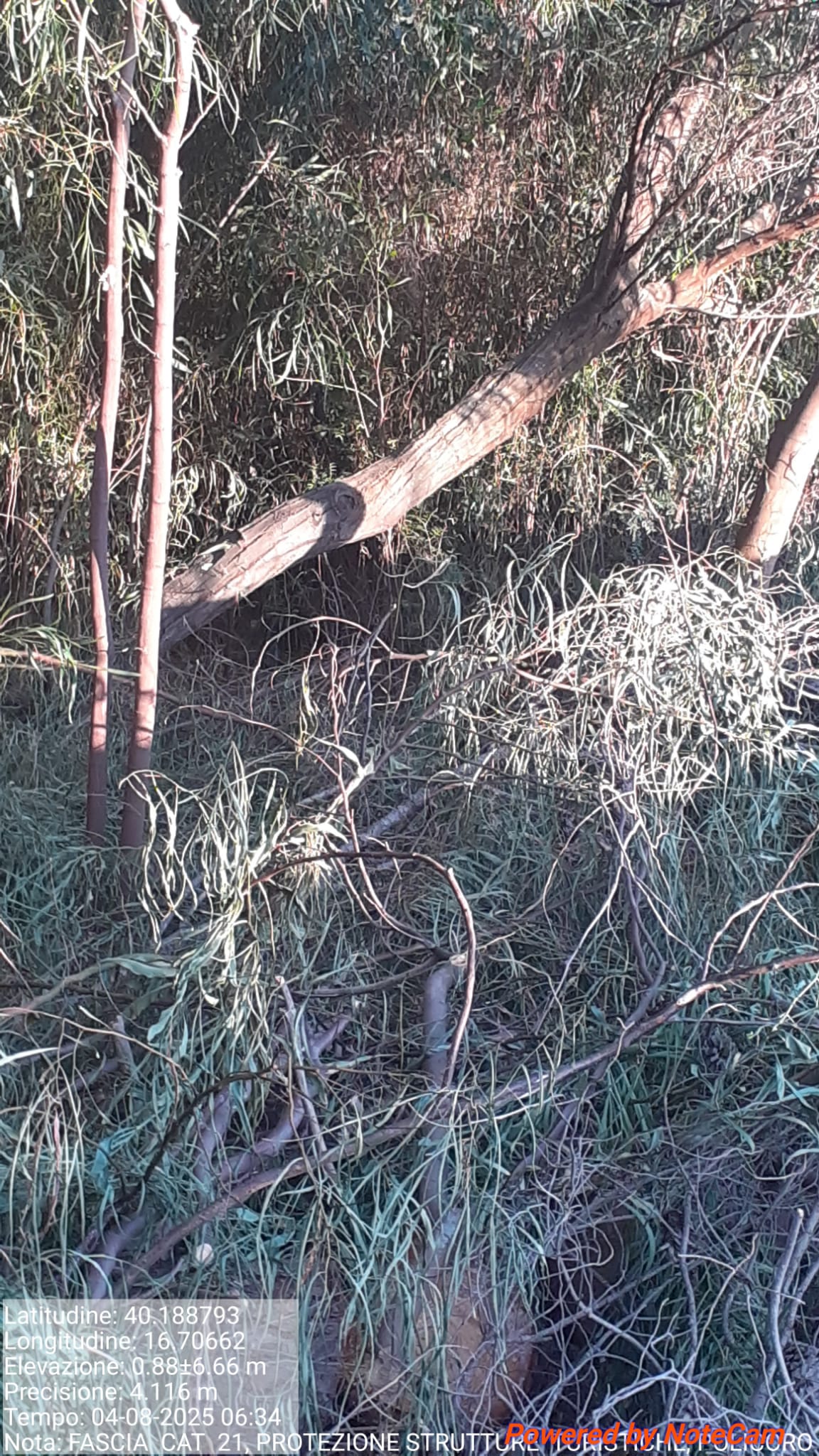 Galleria Fotografica Immagine