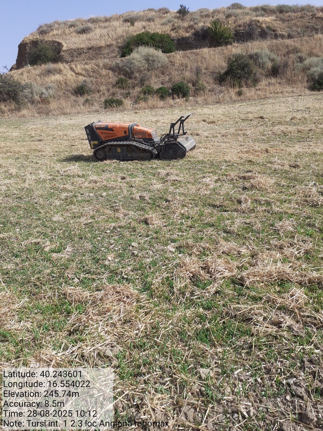 Galleria Fotografica Immagine