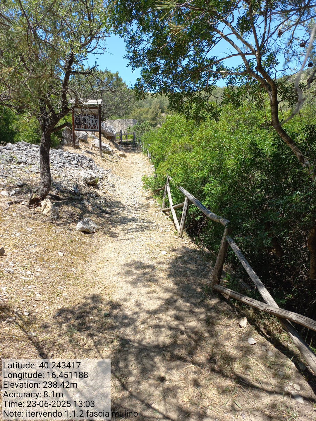 Galleria Fotografica Immagine