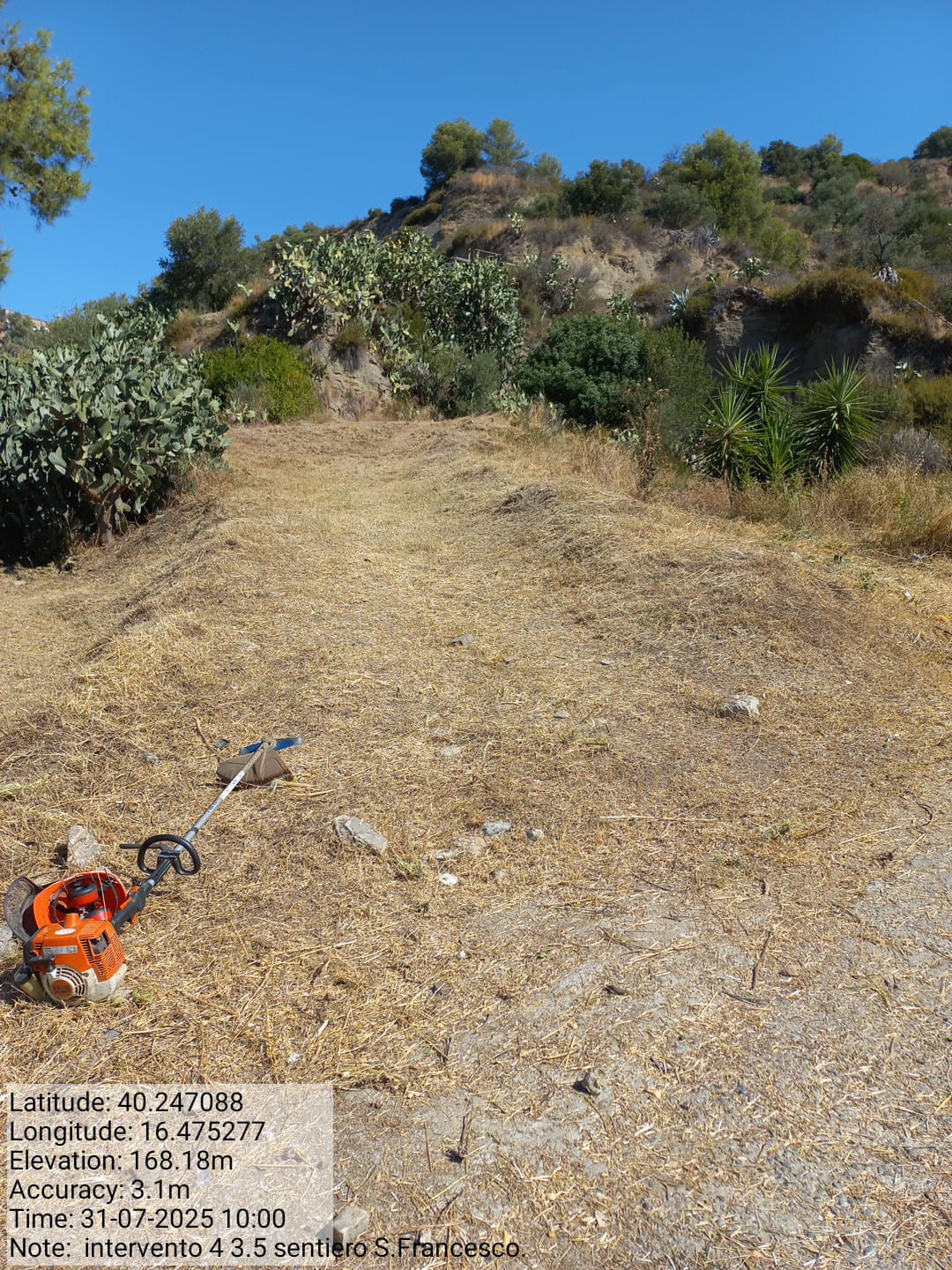 Galleria Fotografica Immagine