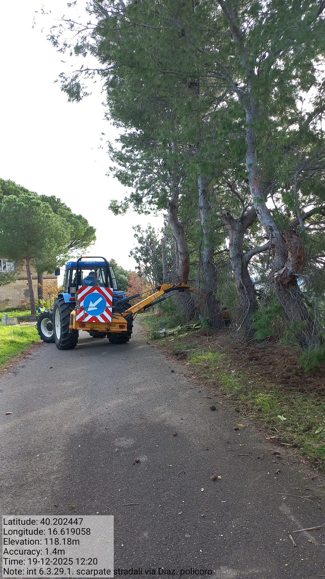 Galleria Fotografica Immagine