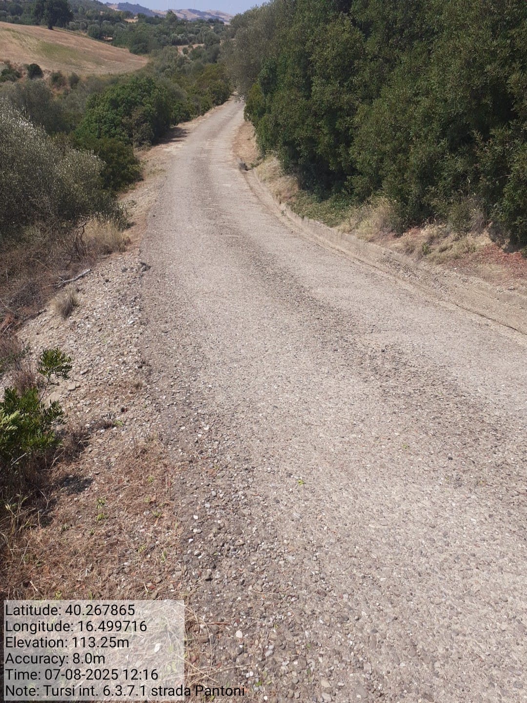 Galleria Fotografica Immagine