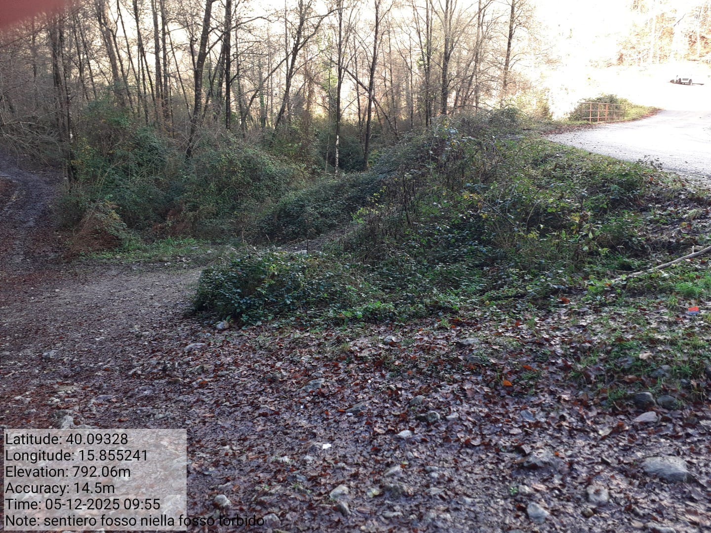 Galleria Fotografica Immagine