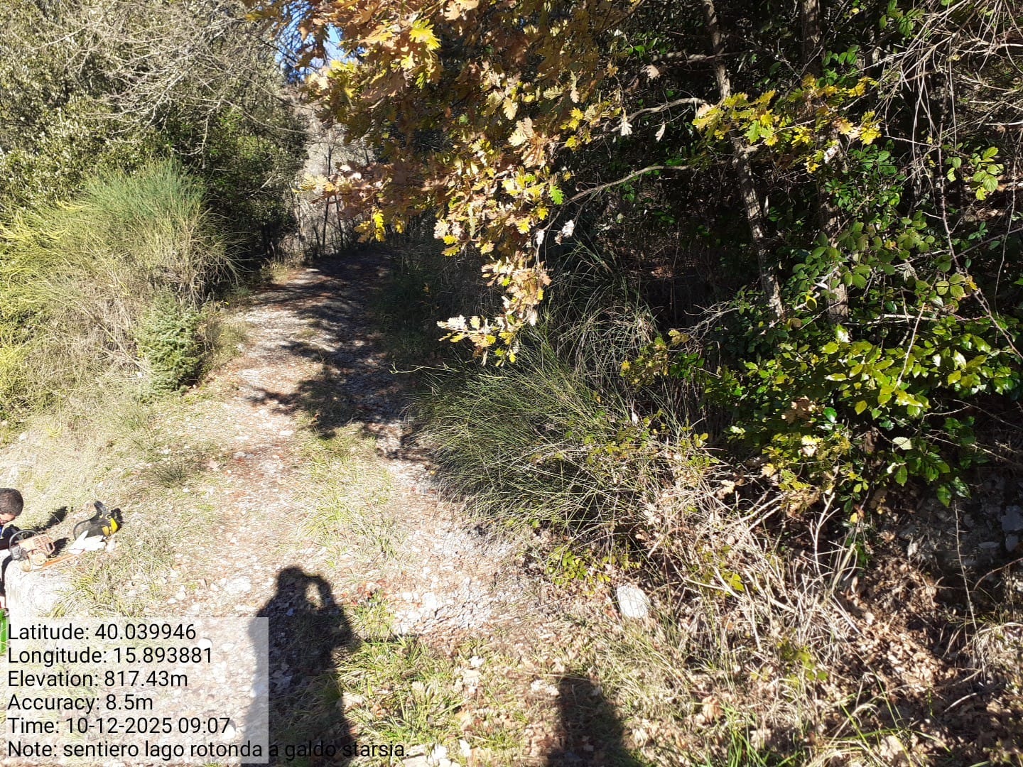 Galleria Fotografica Immagine