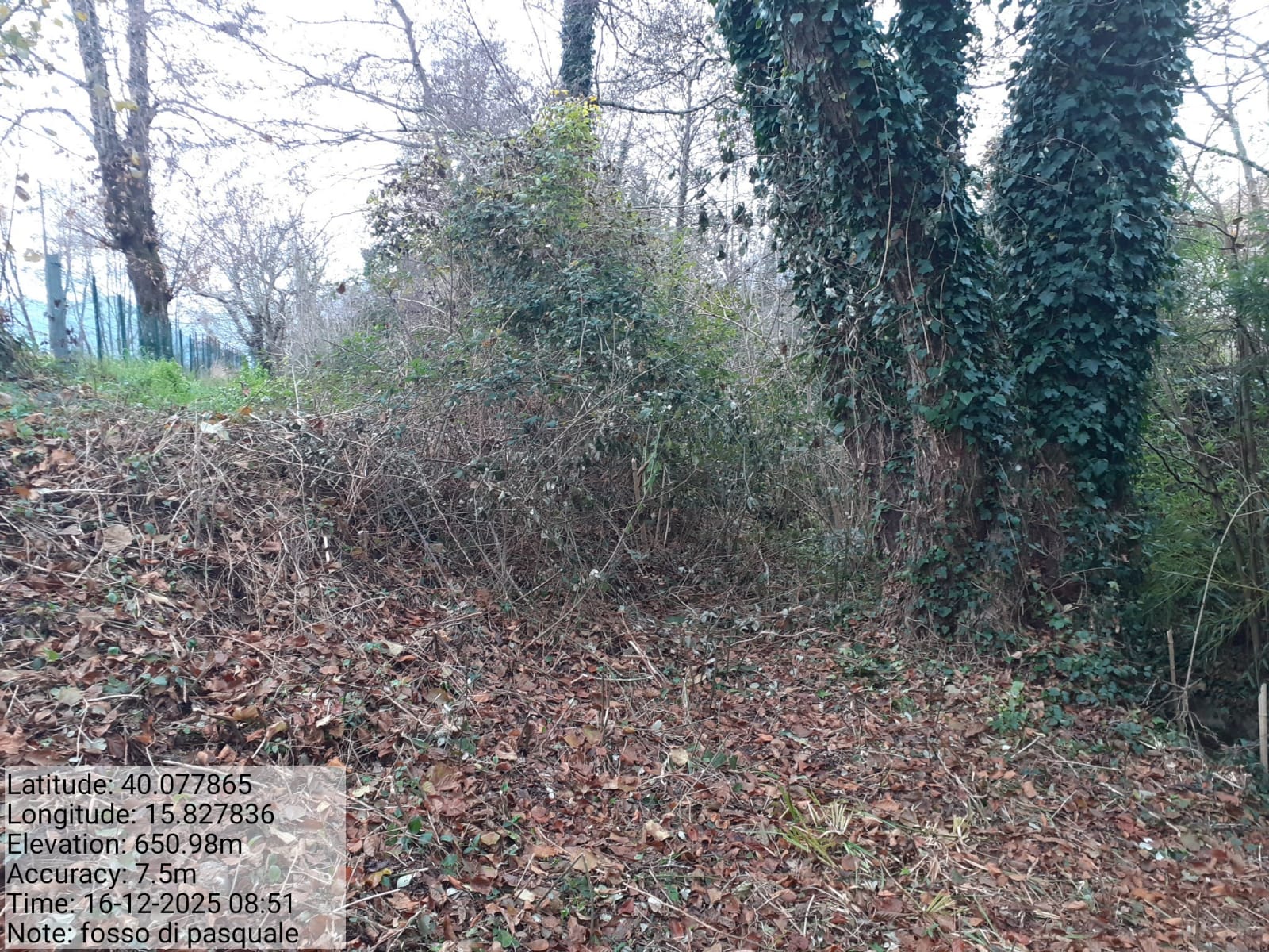 Galleria Fotografica Immagine