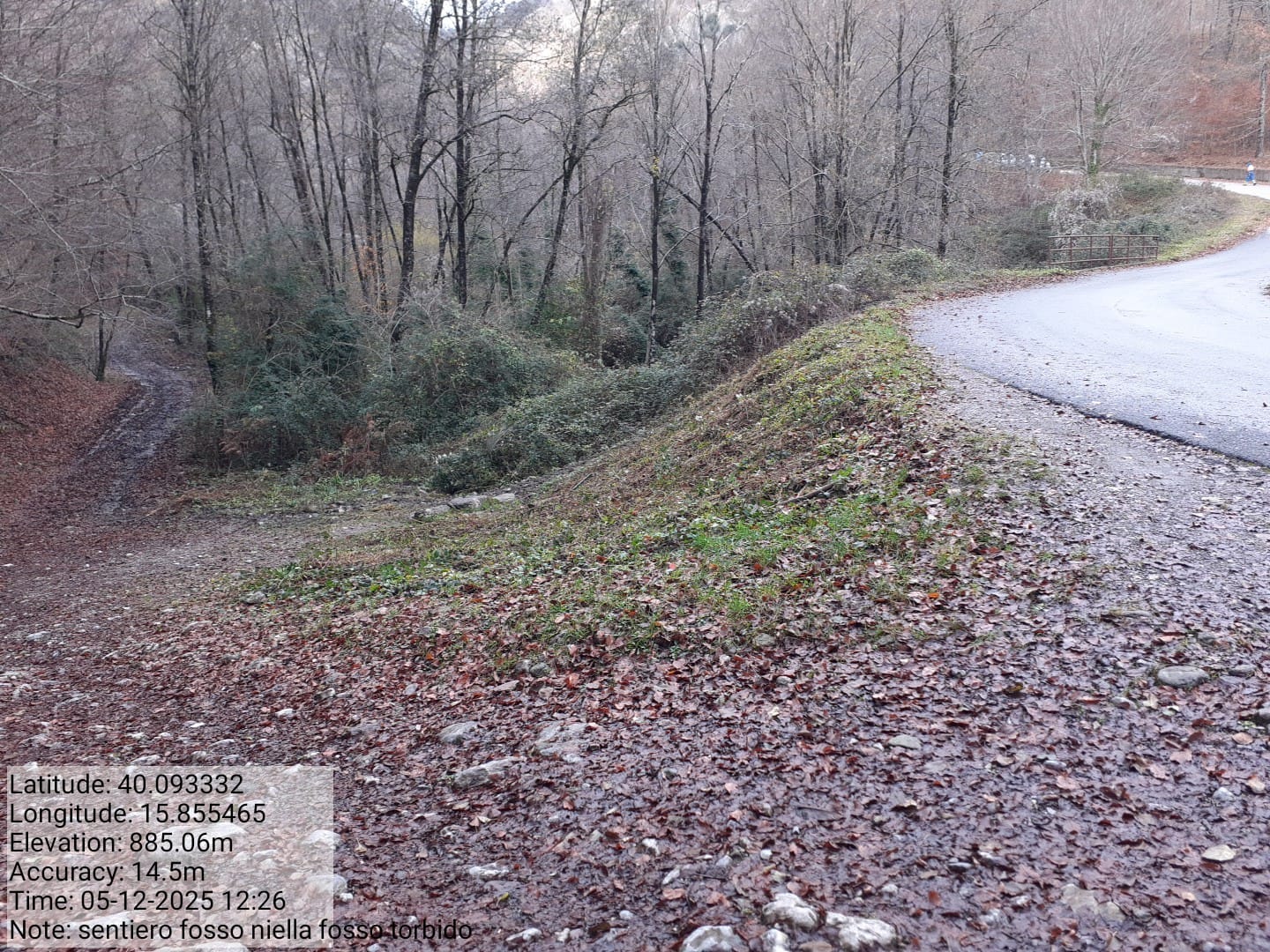 Galleria Fotografica Immagine