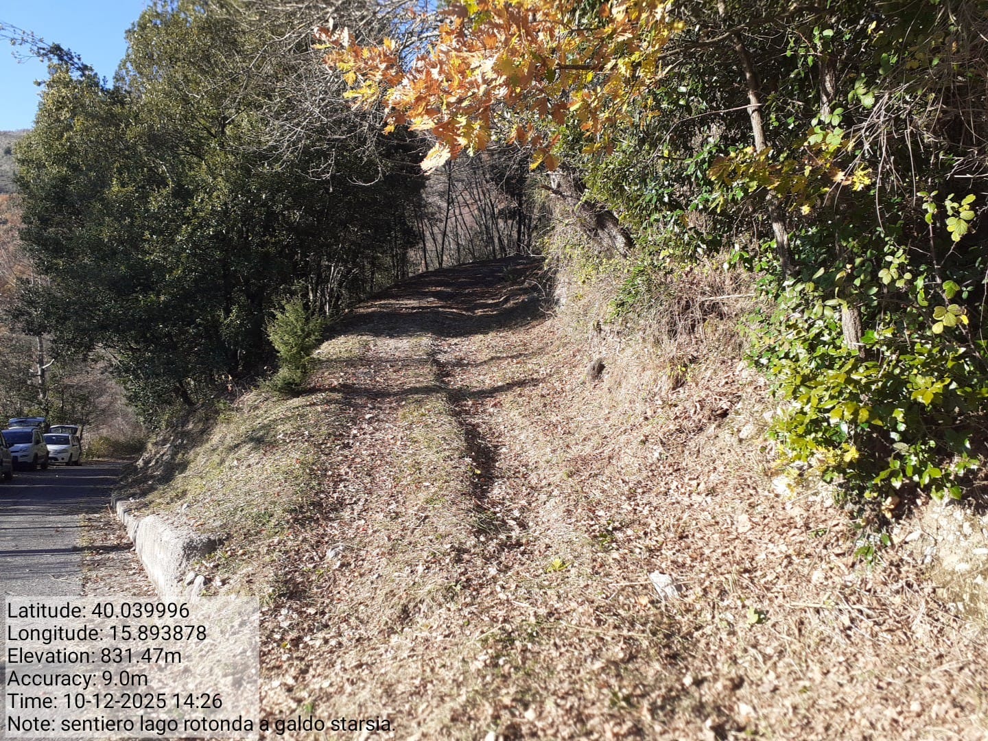 Galleria Fotografica Immagine