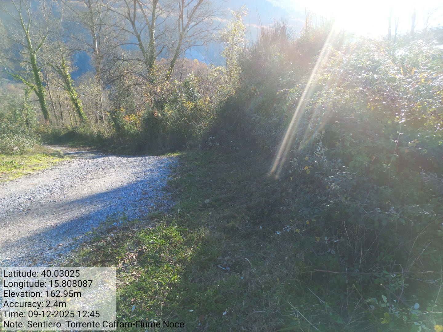 Galleria Fotografica Immagine