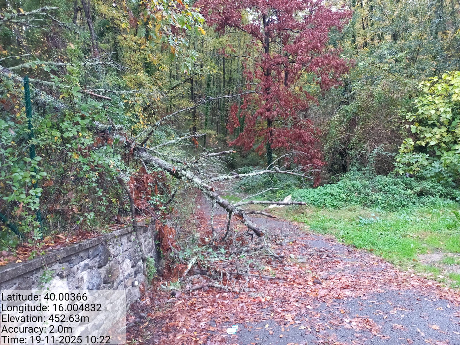 Galleria Fotografica Immagine