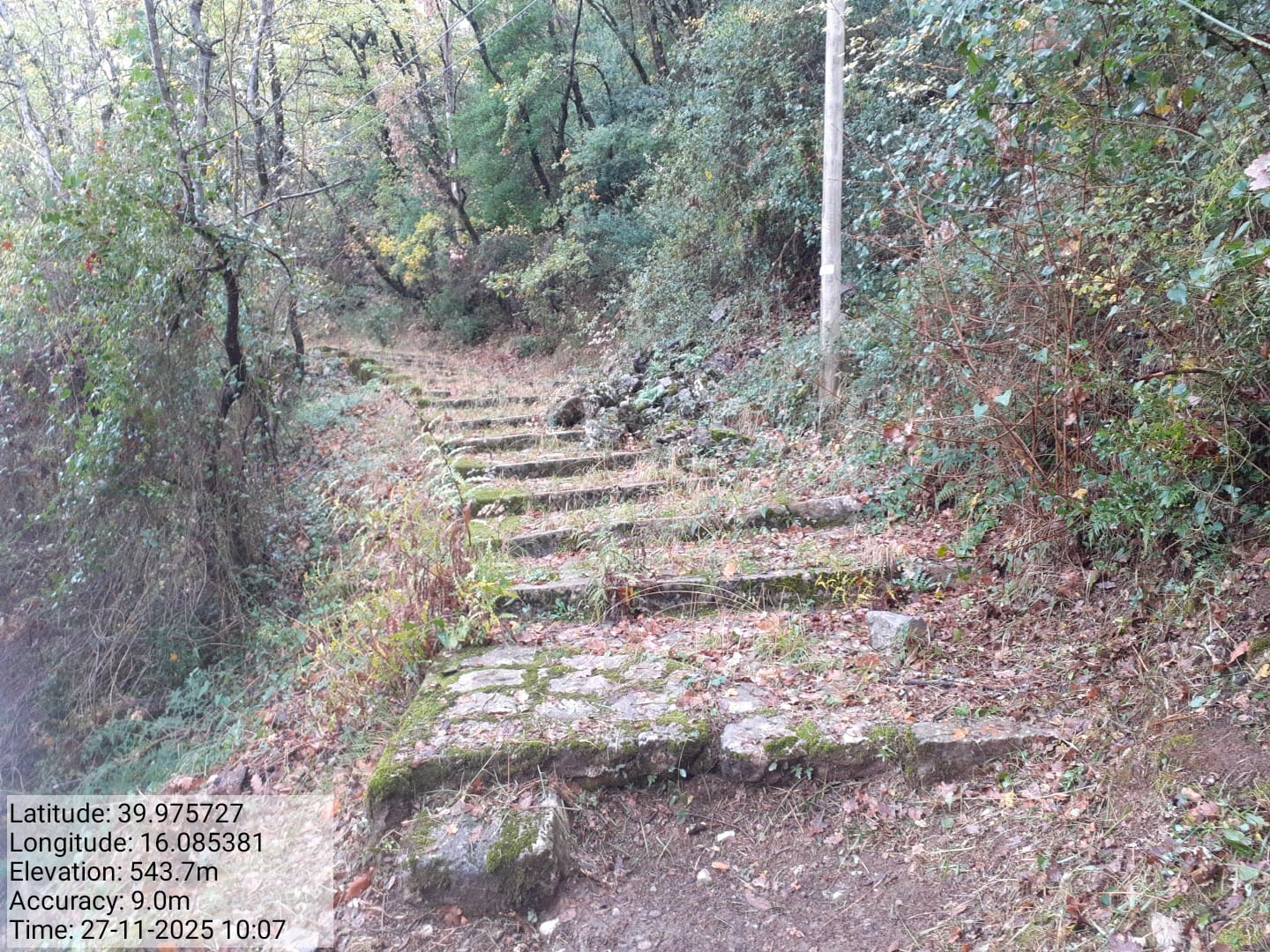 Galleria Fotografica Immagine