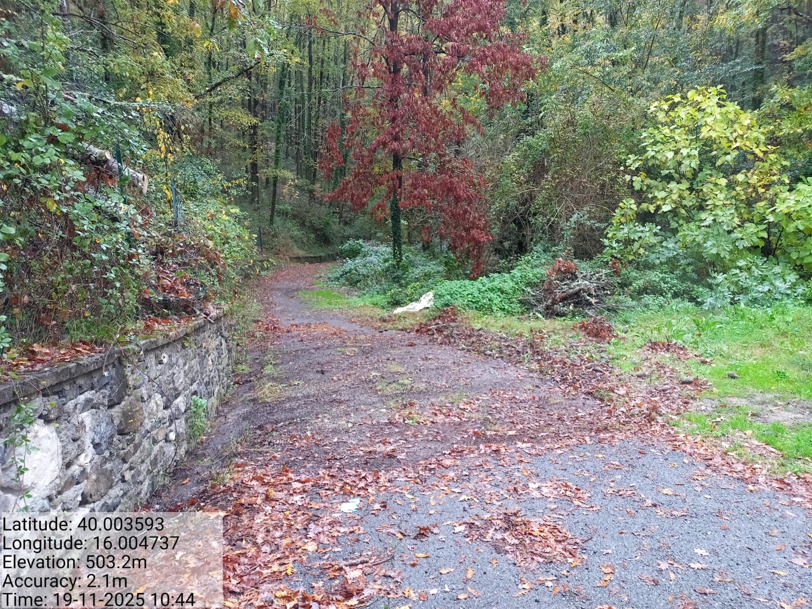 Galleria Fotografica Immagine