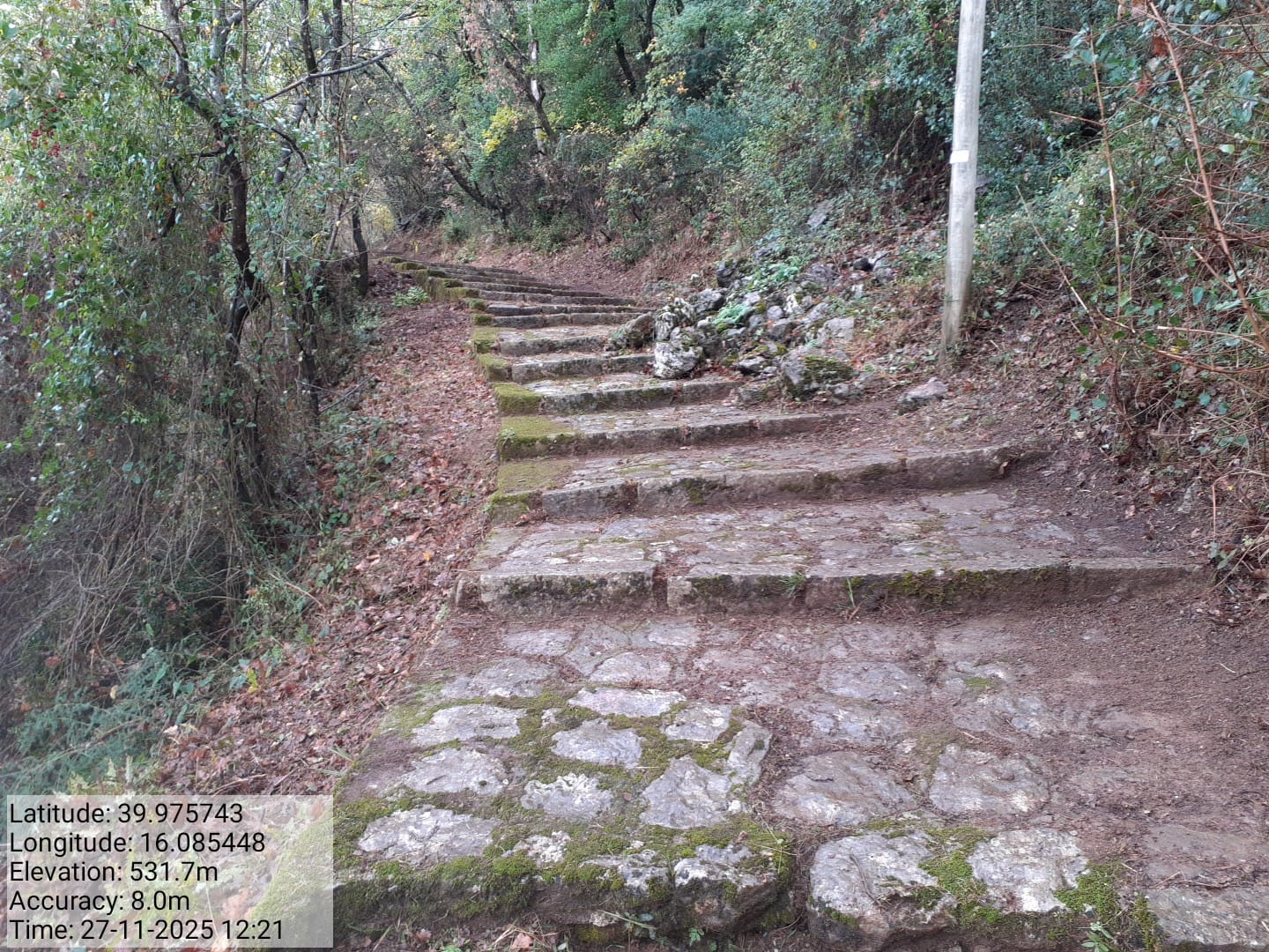 Galleria Fotografica Immagine